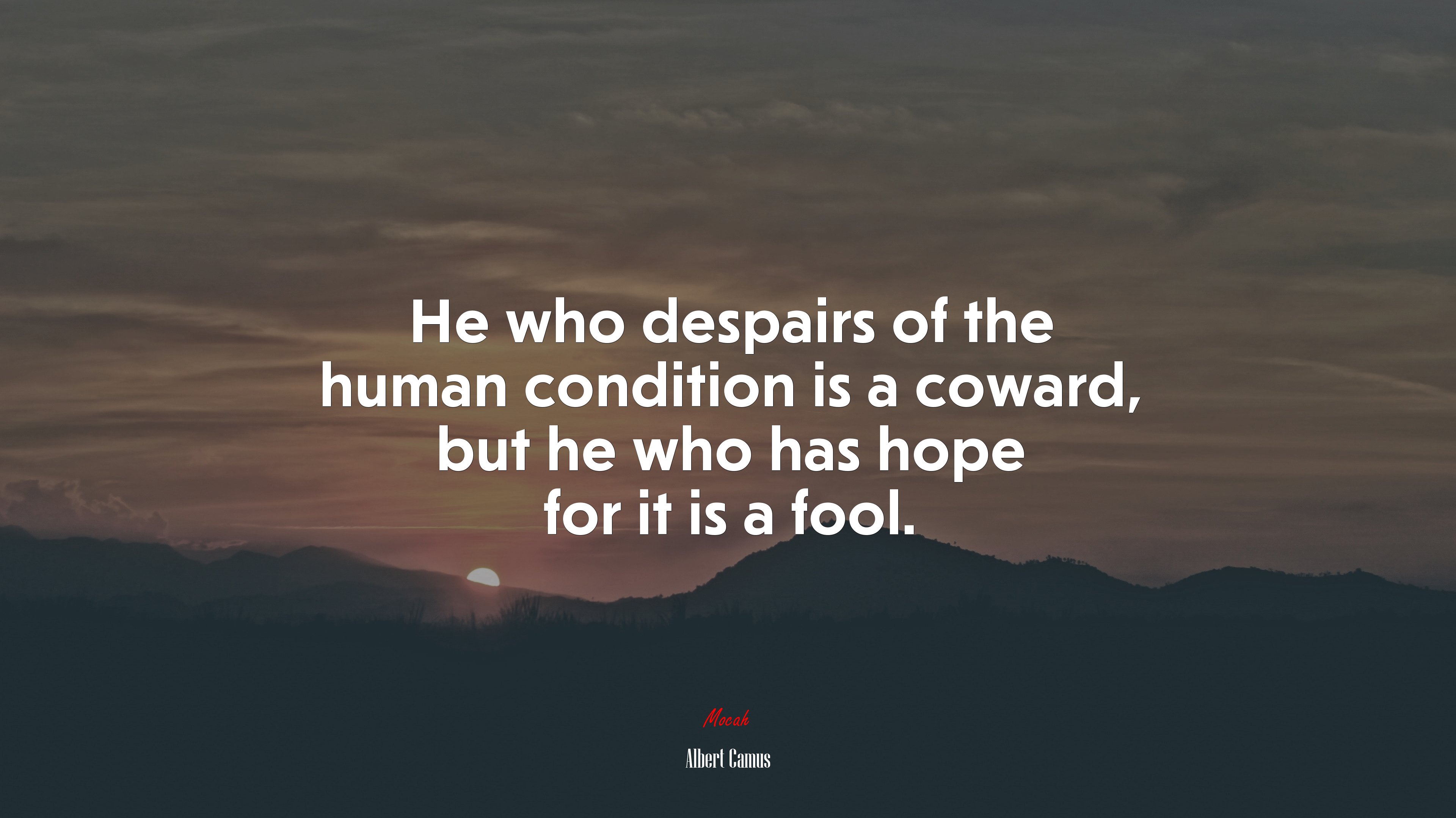 He who despairs of the human condition is a coward, but he who has hope for it is a fool. | Albert Camus quote HD Wallpaper