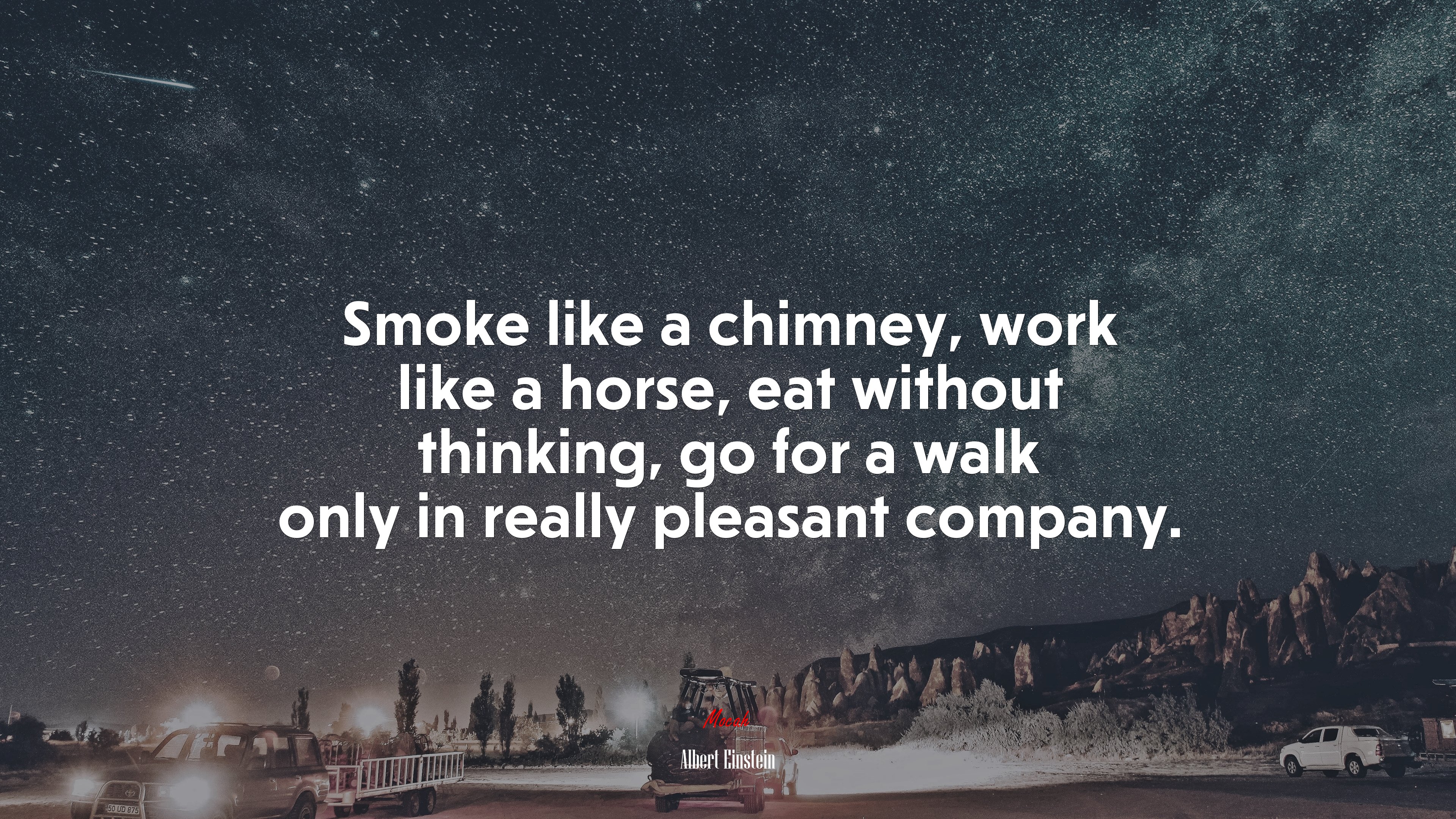 Smoke like a chimney, work like a horse, eat without thinking, go for a walk only in really pleasant company. | Albert Einstein quote HD Wallpaper