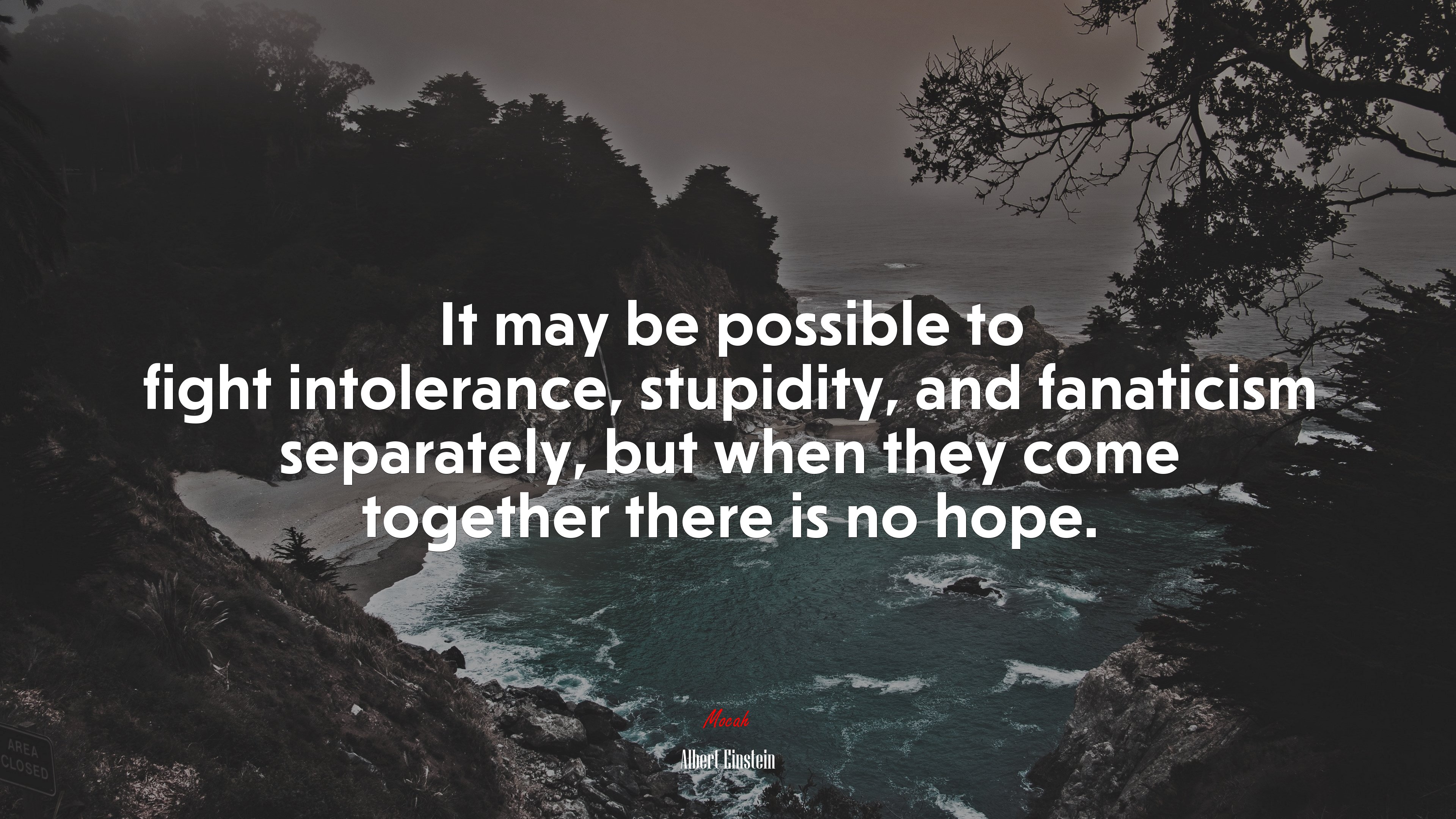 It may be possible to fight intolerance, stupidity, and fanaticism separately, but when they come together there is no hope. | Albert Einstein quote HD Wallpaper