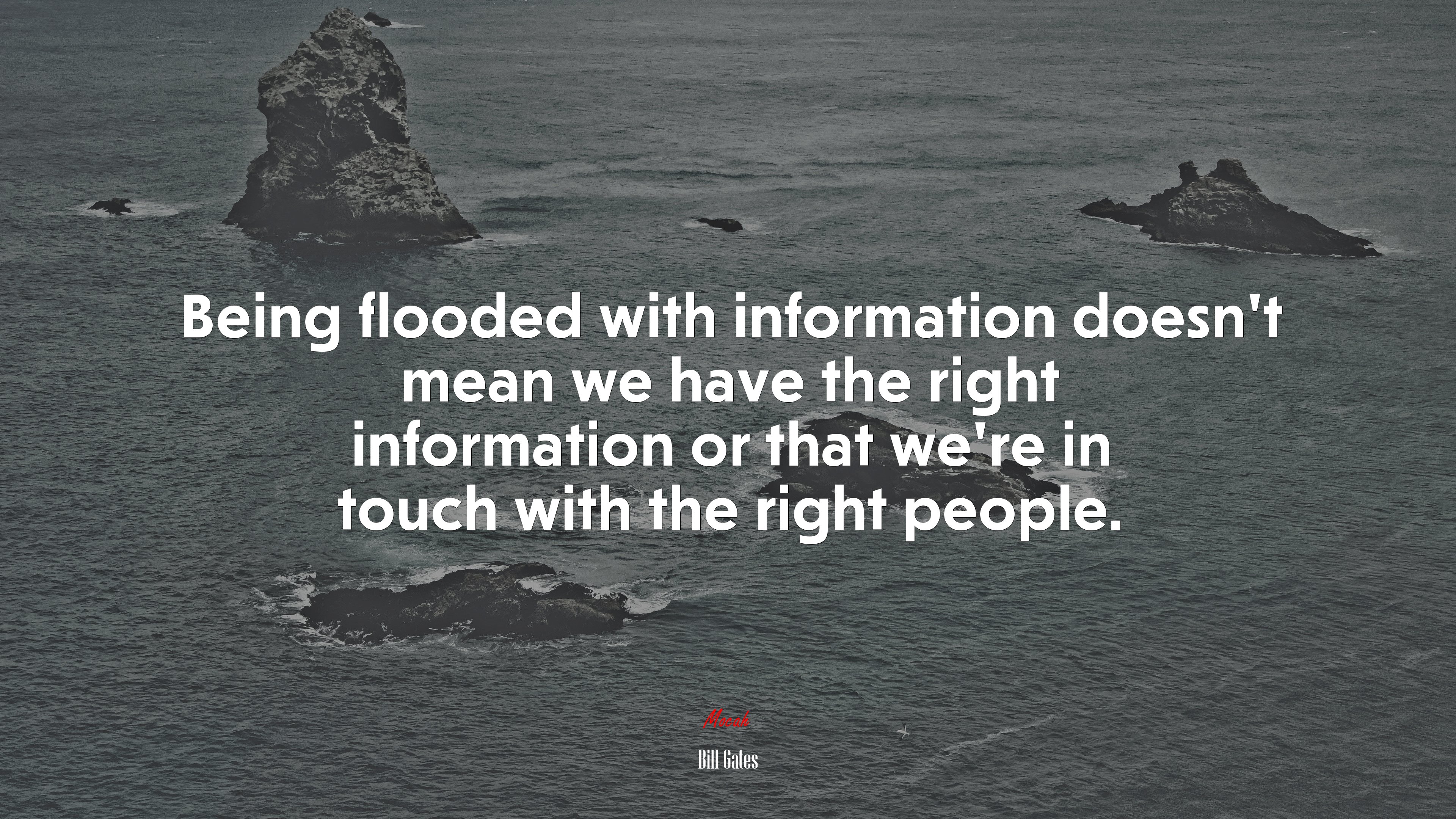 Being flooded with information doesn’t mean we have the right information or that we’re in touch with the right people. | Bill Gates quote HD Wallpaper
