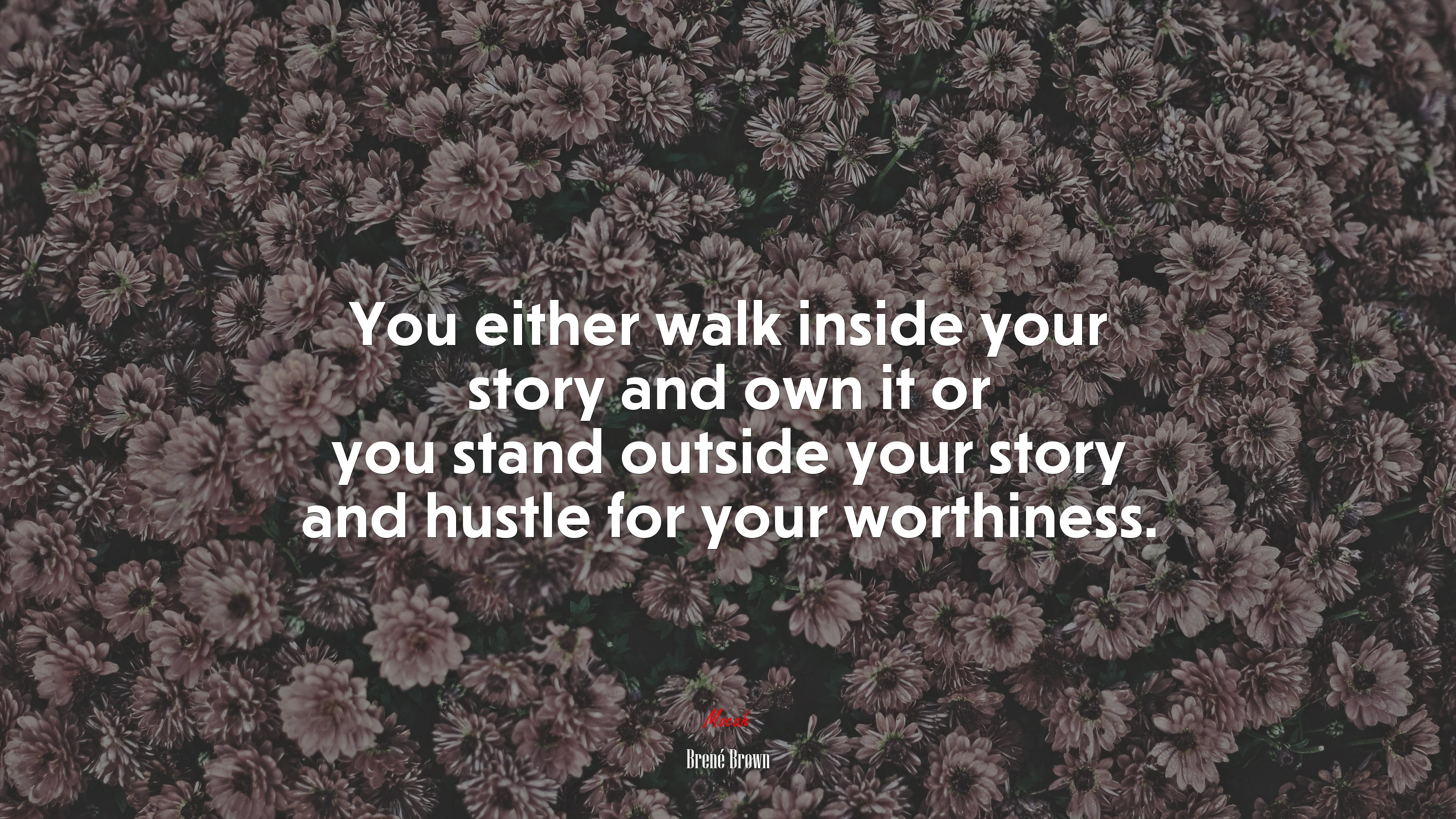 You either walk inside your story and own it or you stand outside your story and hustle for your worthiness. | Brené Brown quote HD Wallpaper