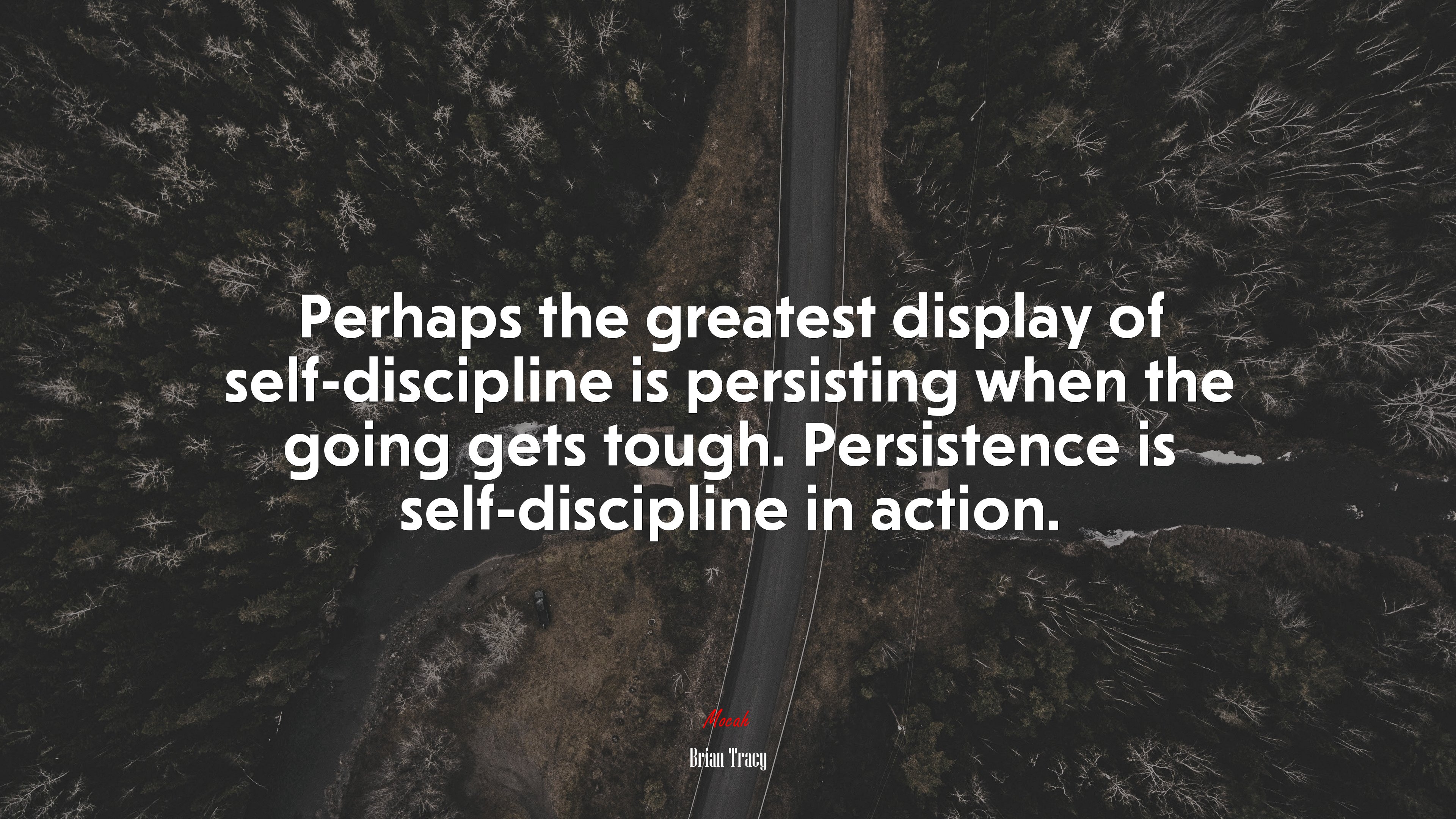 Perhaps the greatest display of self-discipline is persisting when the going gets tough. Persistence is self-discipline in action. | Brian Tracy quote HD Wallpaper