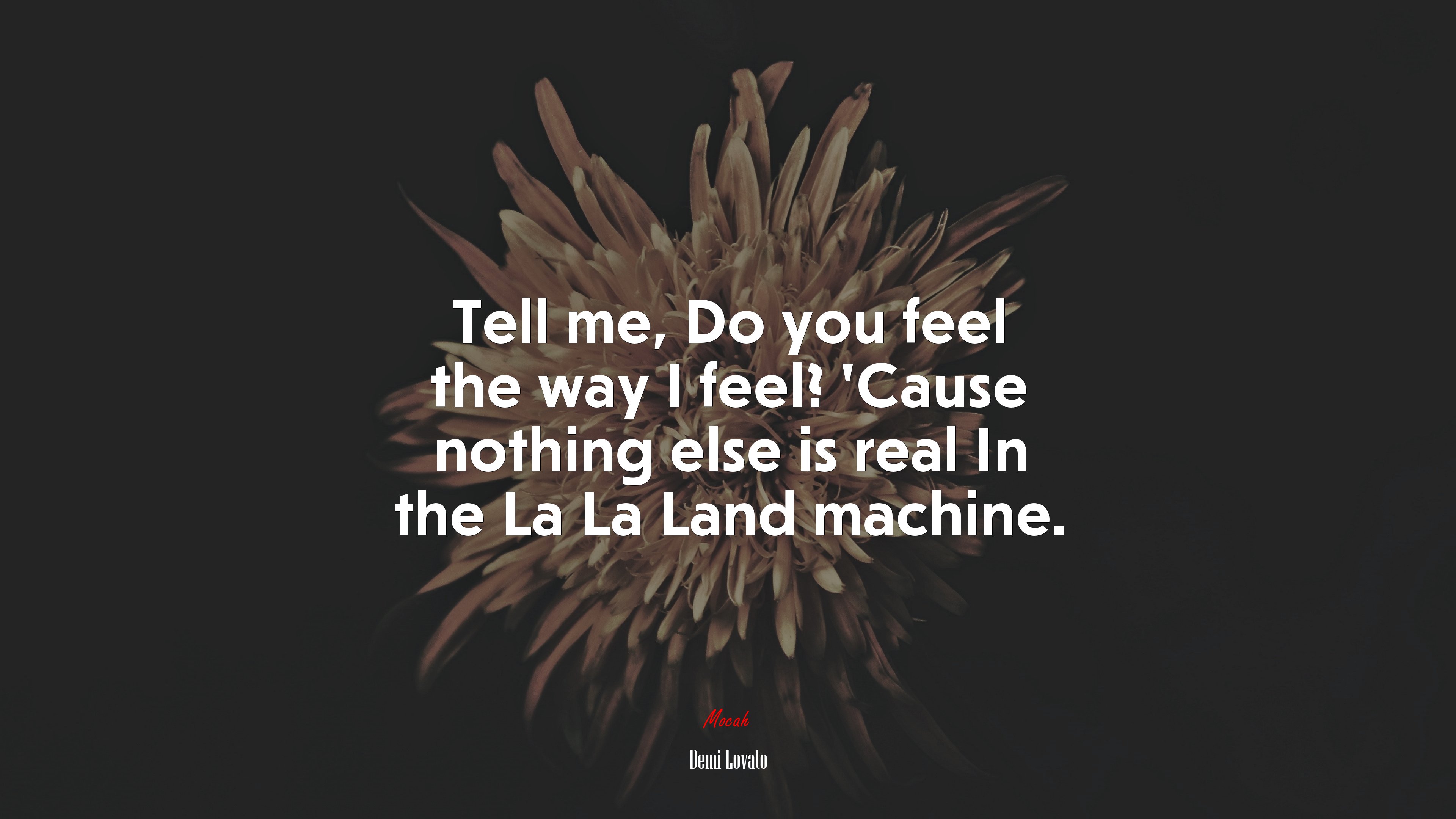 Tell me, Do you feel the way I feel? ’Cause nothing else is real In the La La Land machine. | Demi Lovato quote HD Wallpaper