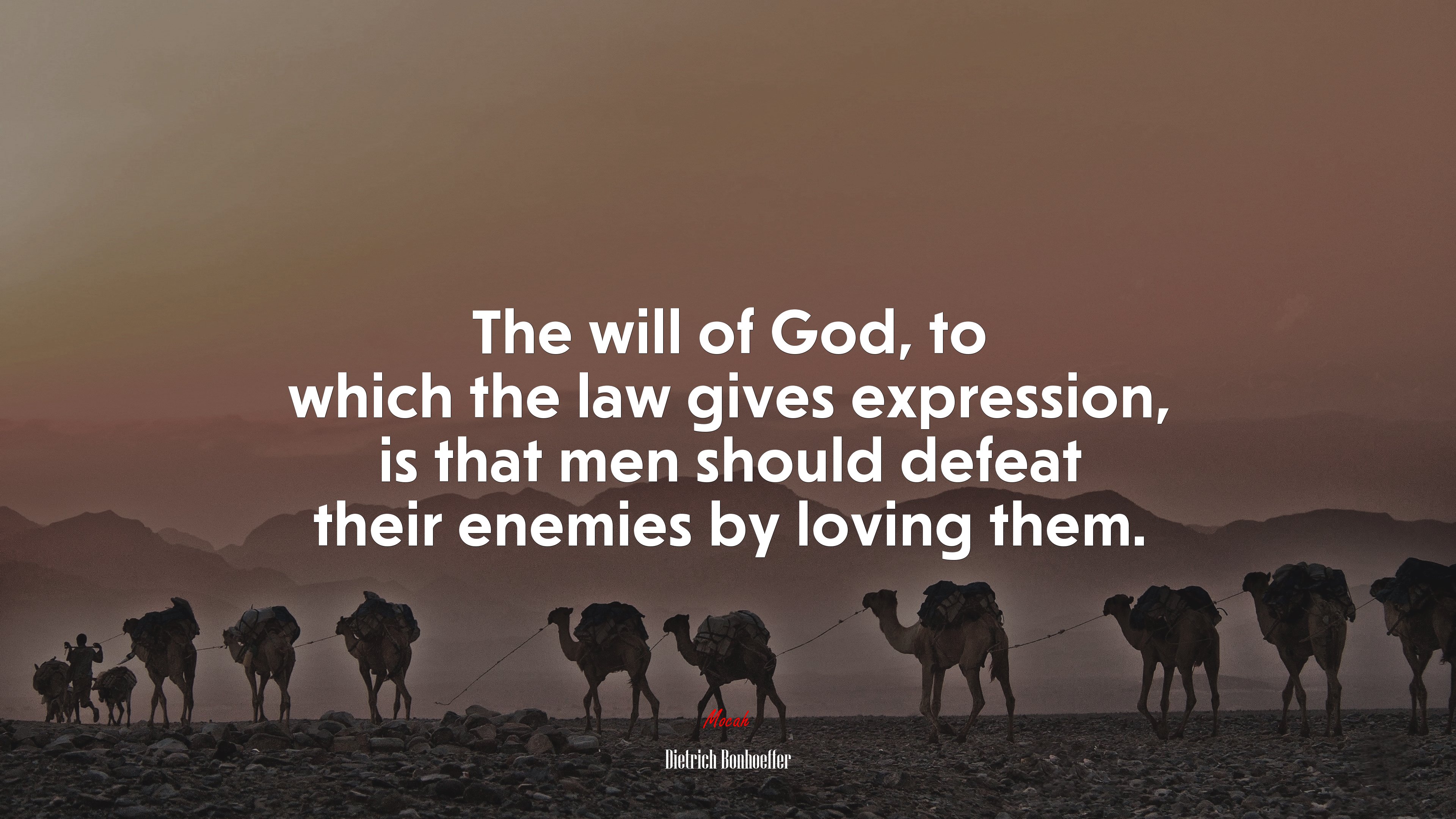 The will of God, to which the law gives expression, is that men should defeat their enemies by loving them. | Dietrich Bonhoeffer quote HD Wallpaper