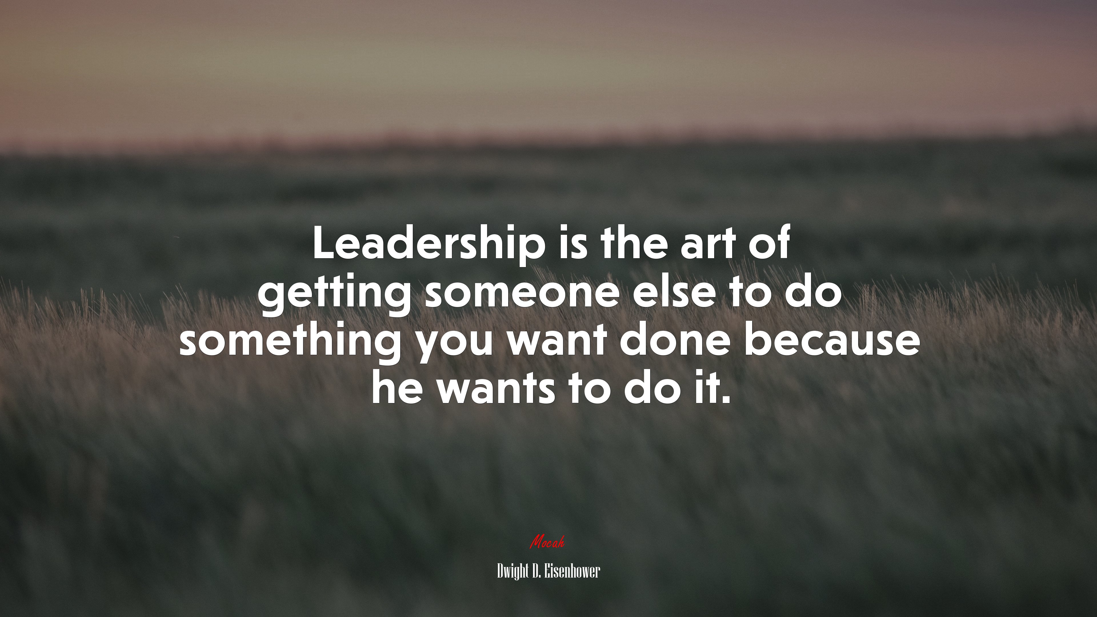 Leadership is the art of getting someone else to do something you want done because he wants to do it. | Dwight D. Eisenhower quote HD Wallpaper