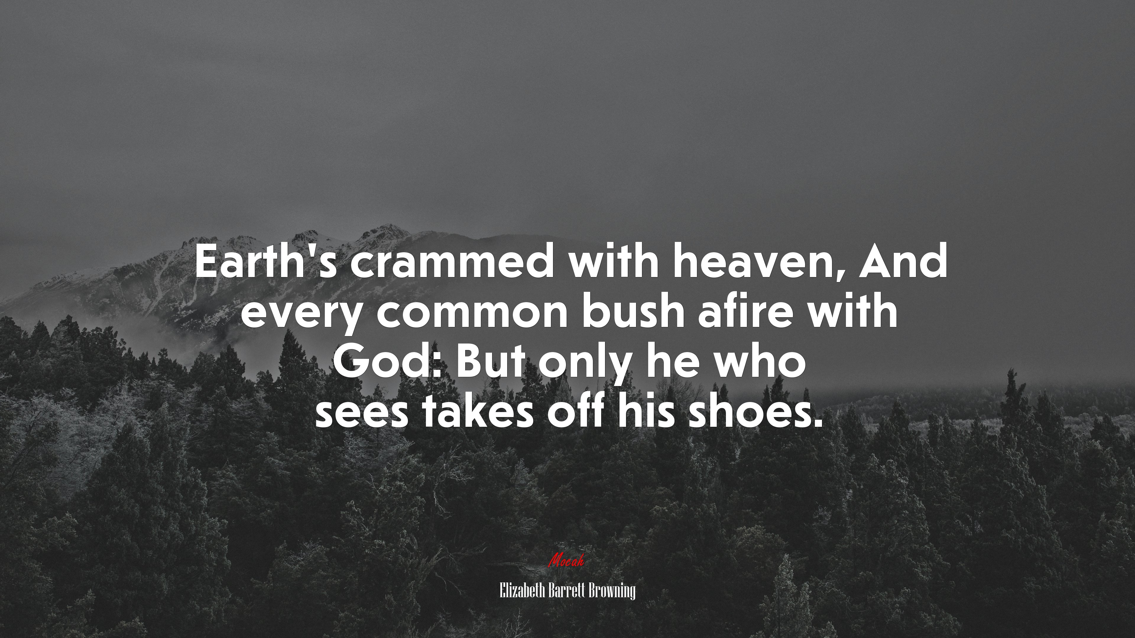 Earth’s crammed with heaven, And every common bush afire with God: But only he who sees takes off his shoes. | Elizabeth Barrett Browning quote HD Wallpaper