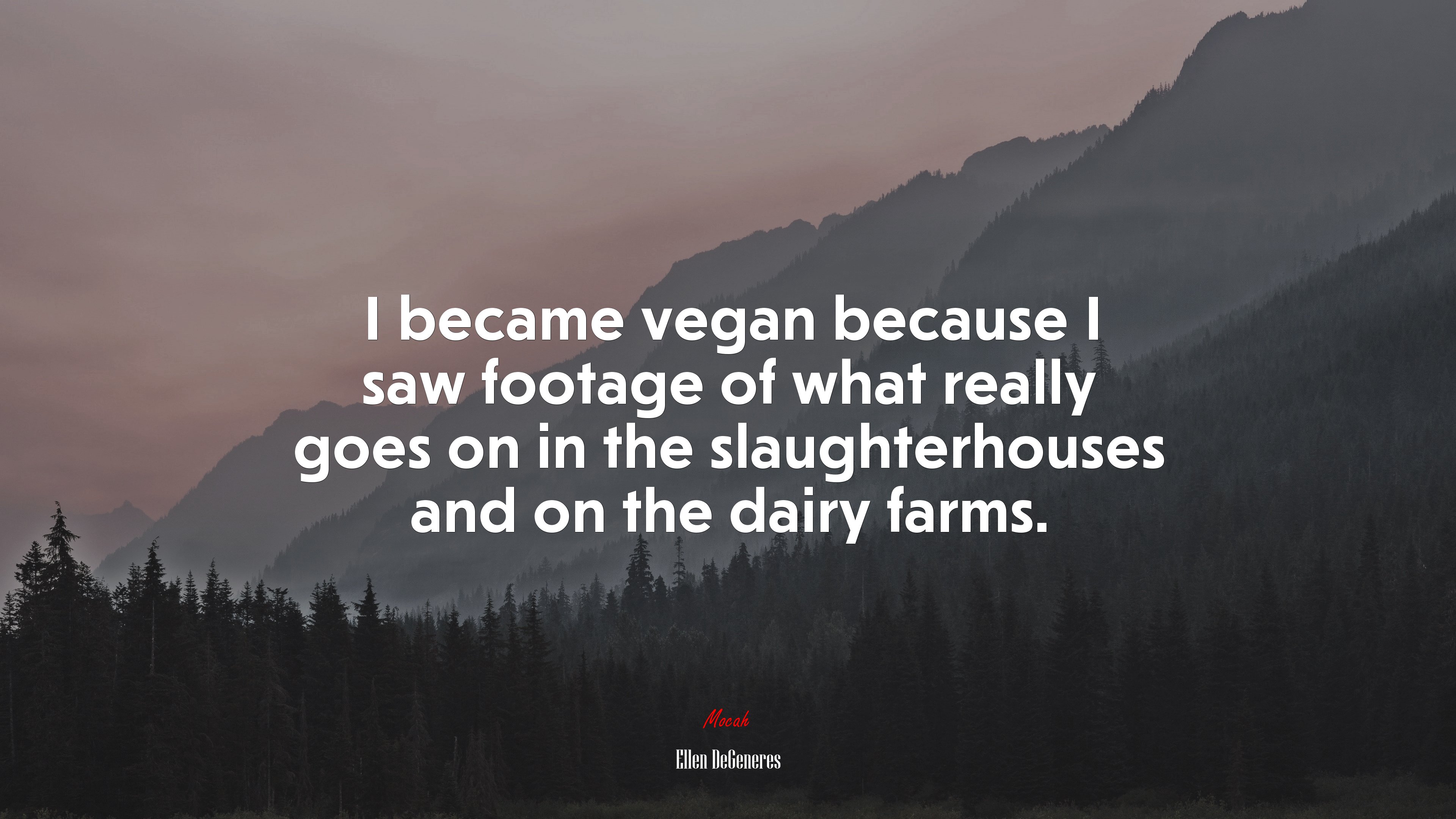 I became vegan because I saw footage of what really goes on in the slaughterhouses and on the dairy farms. | Ellen DeGeneres quote HD Wallpaper