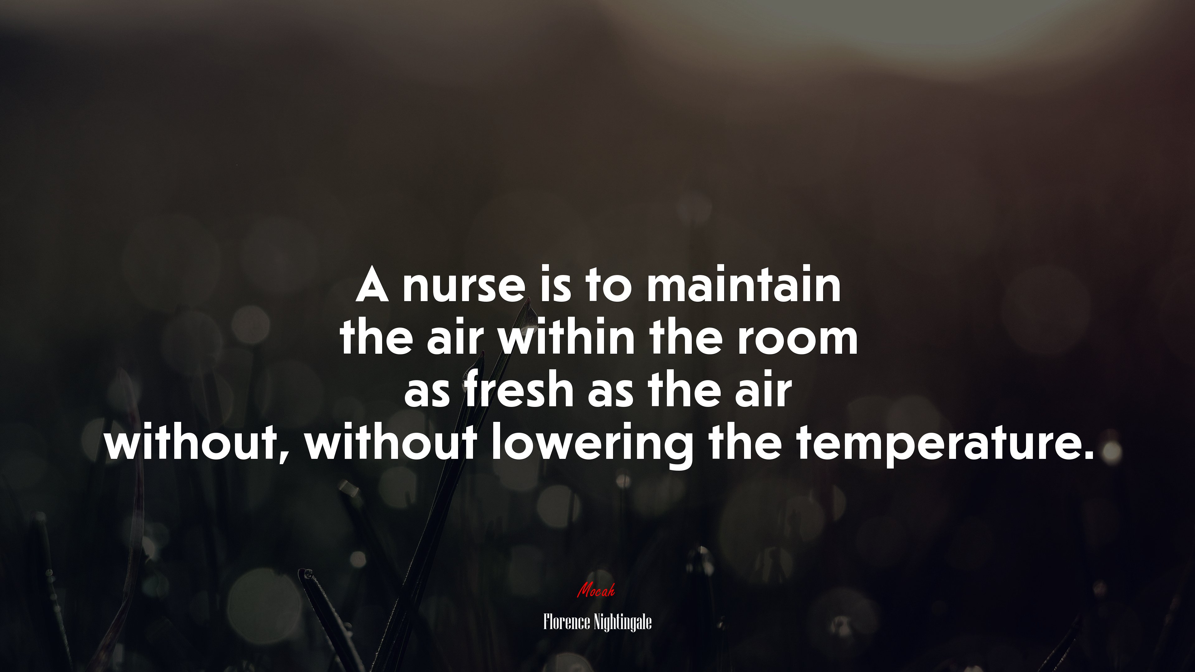 A nurse is to maintain the air within the room as fresh as the air without, without lowering the temperature. | Florence Nightingale quote HD Wallpaper