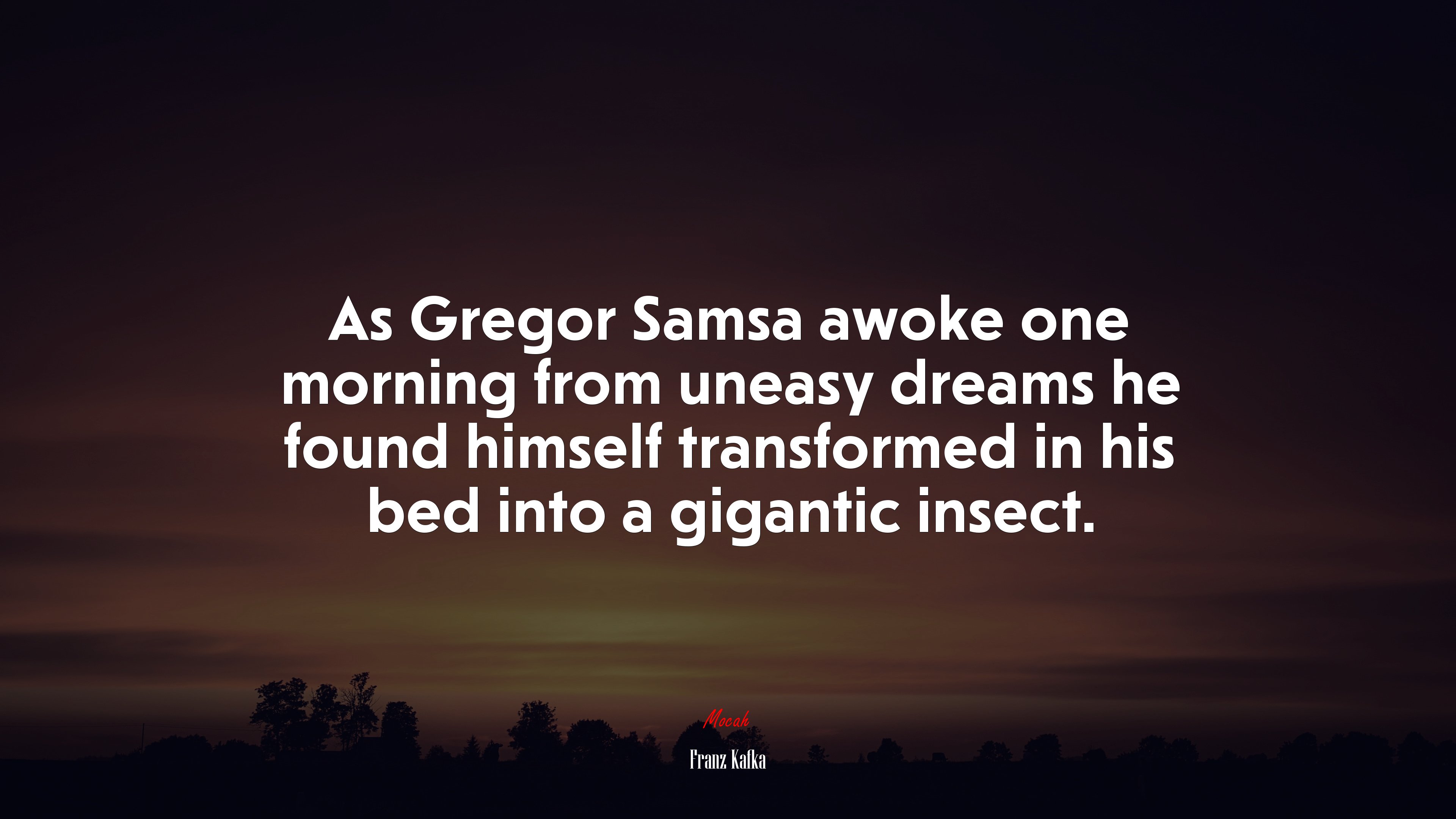 As Gregor Samsa awoke one morning from uneasy dreams he found himself transformed in his bed into a gigantic insect. | Franz Kafka quote HD Wallpaper