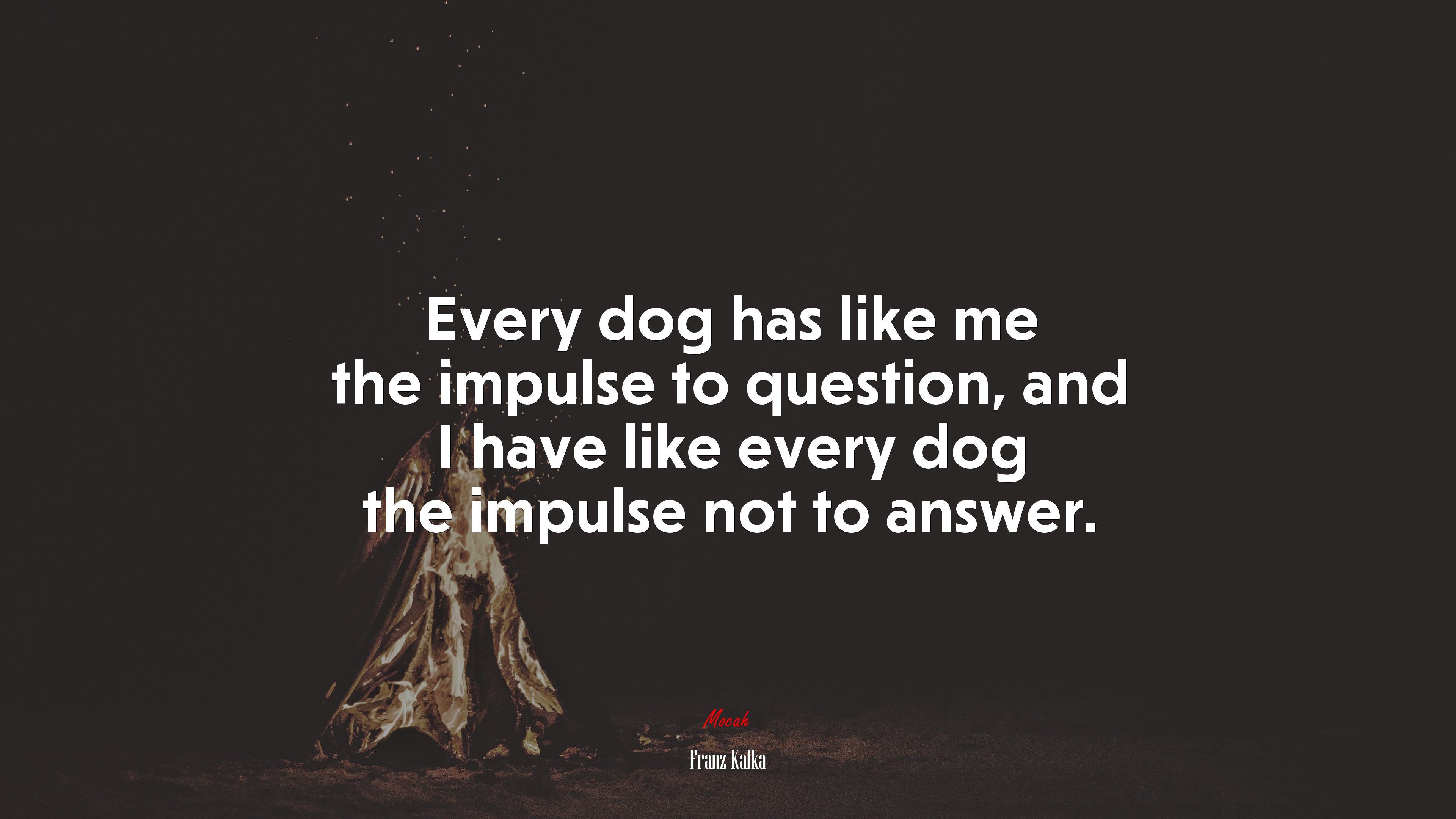 Every dog has like me the impulse to question, and I have like every dog the impulse not to answer. | Franz Kafka quote HD Wallpaper