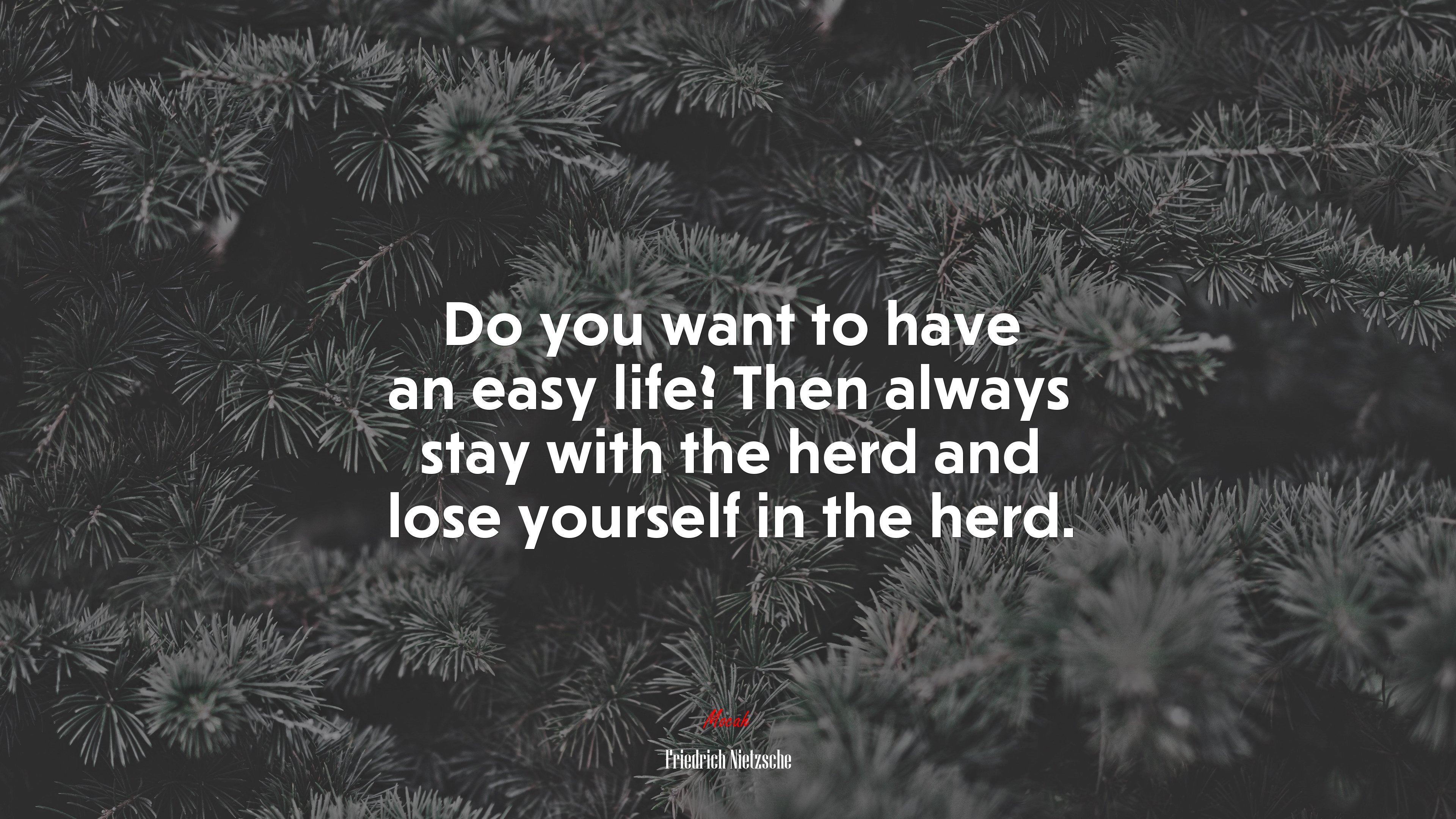 Do you want to have an easy life? Then always stay with the herd and lose yourself in the herd. | Friedrich Nietzsche quote HD Wallpaper