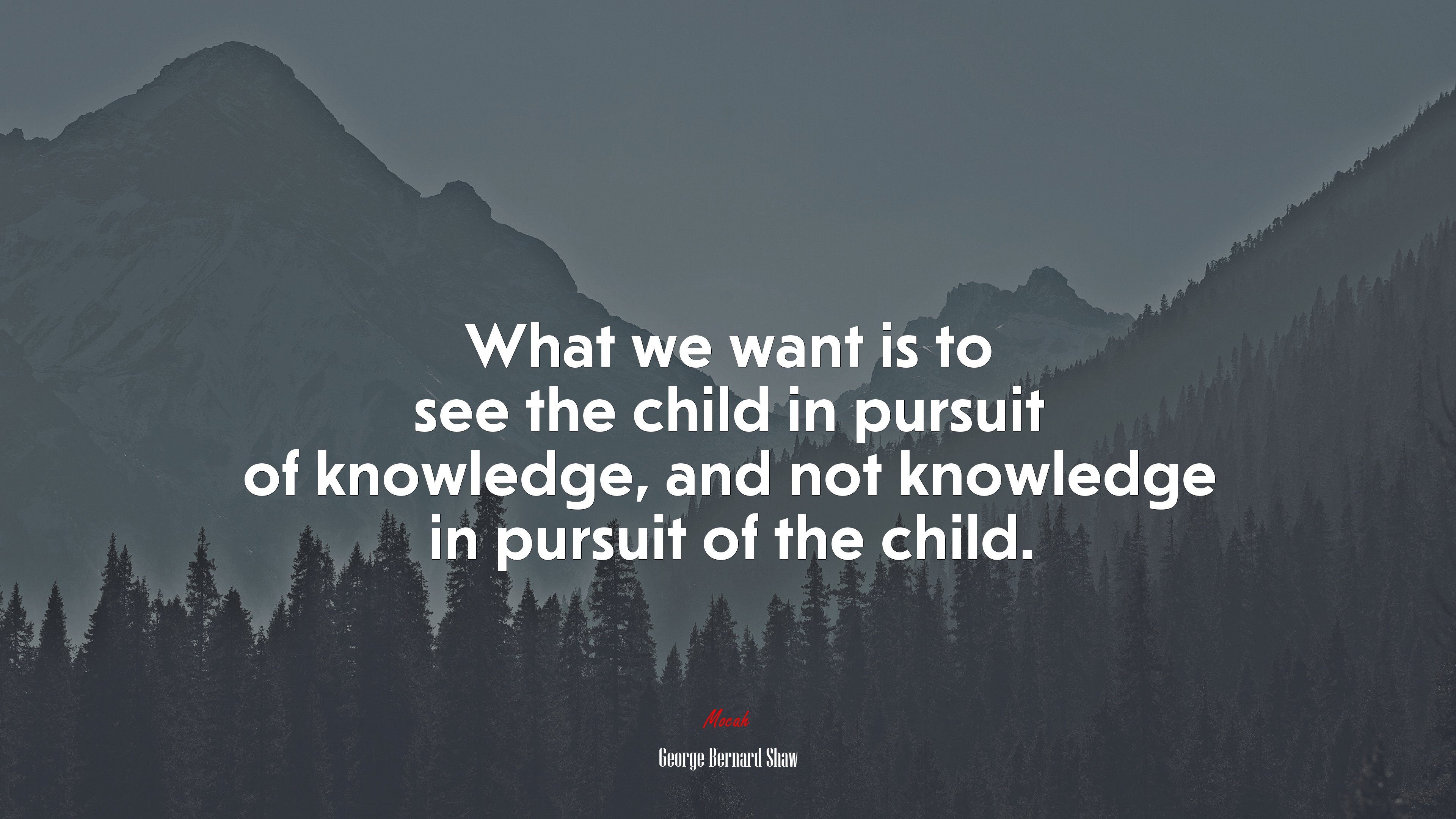 What we want is to see the child in pursuit of knowledge, and not knowledge in pursuit of the child. | George Bernard Shaw quote HD Wallpaper