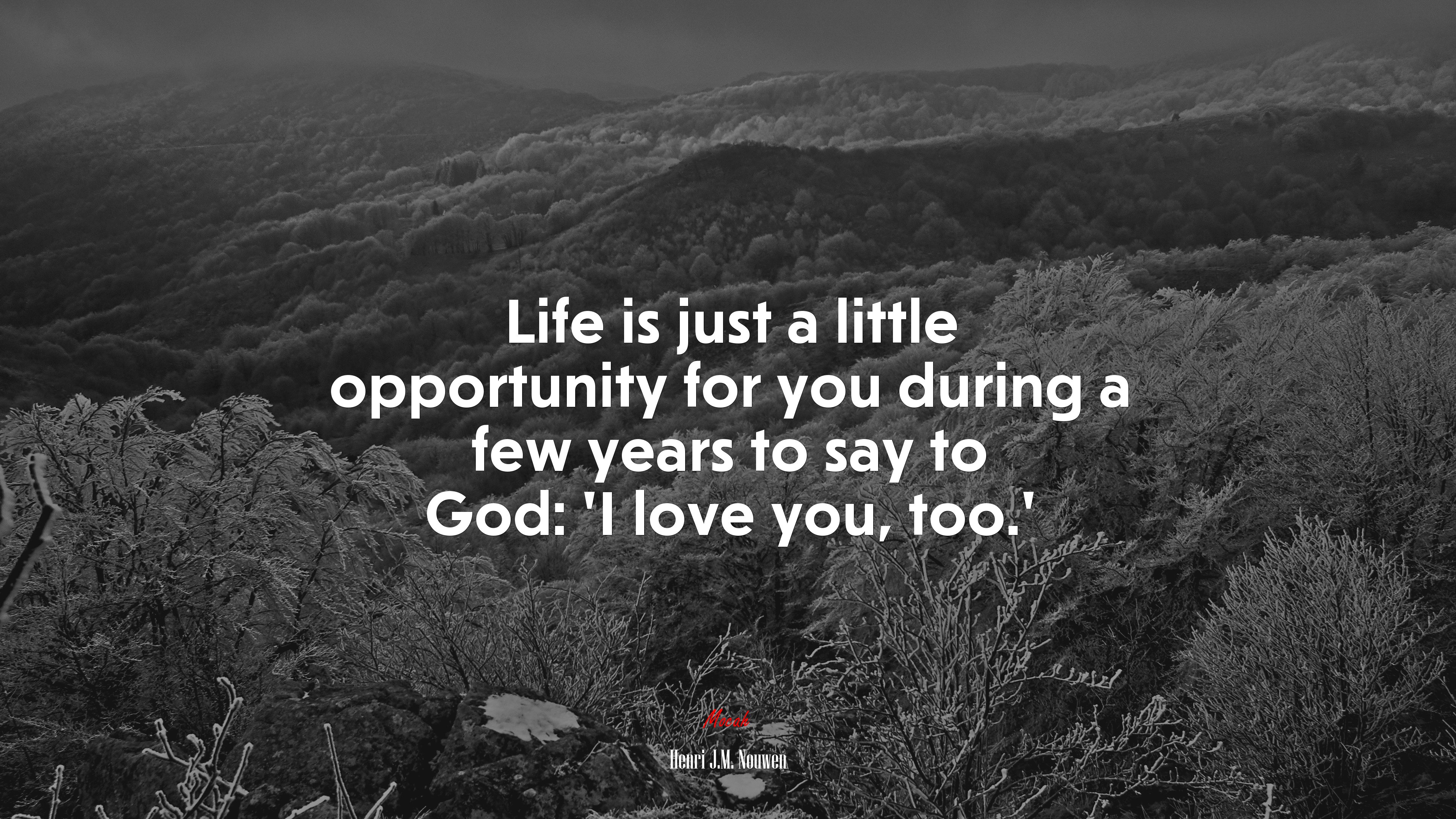 Life is just a little opportunity for you during a few years to say to God: ‘I love you, too.’ | Henri J.M. Nouwen quote HD Wallpaper