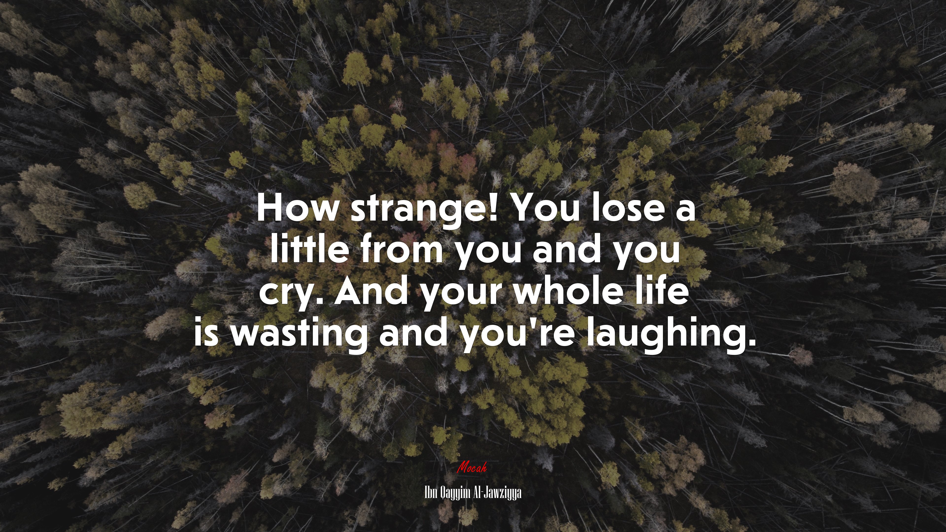 How strange! You lose a little from you and you cry. And your whole life is wasting and you’re laughing. | Ibn Qayyim Al-Jawziyya quote HD Wallpaper