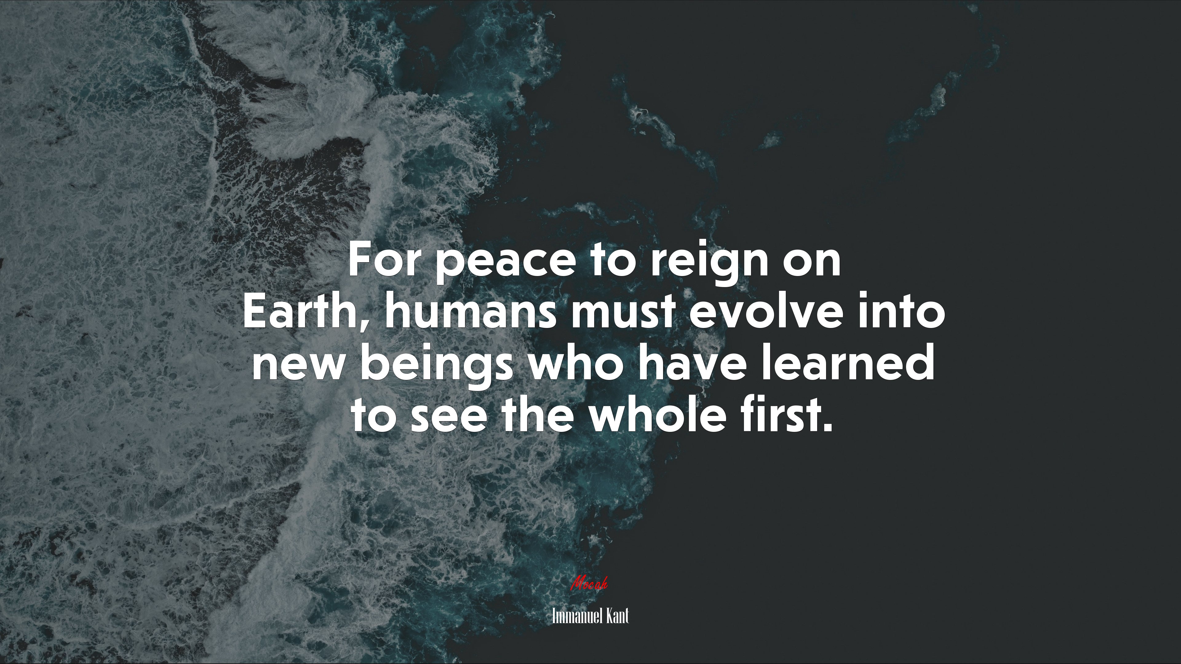 For peace to reign on Earth, humans must evolve into new beings who have learned to see the whole first. | Immanuel Kant quote HD Wallpaper