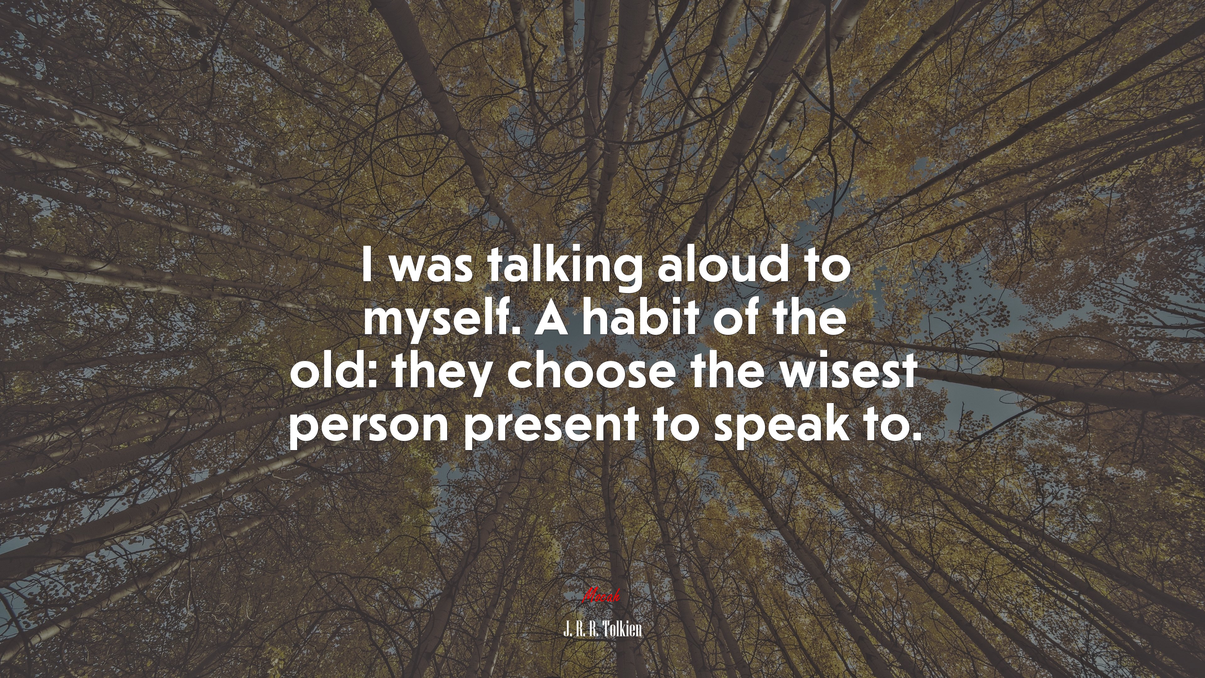 I was talking aloud to myself. A habit of the old: they choose the wisest person present to speak to. | J. R. R. Tolkien quote HD Wallpaper