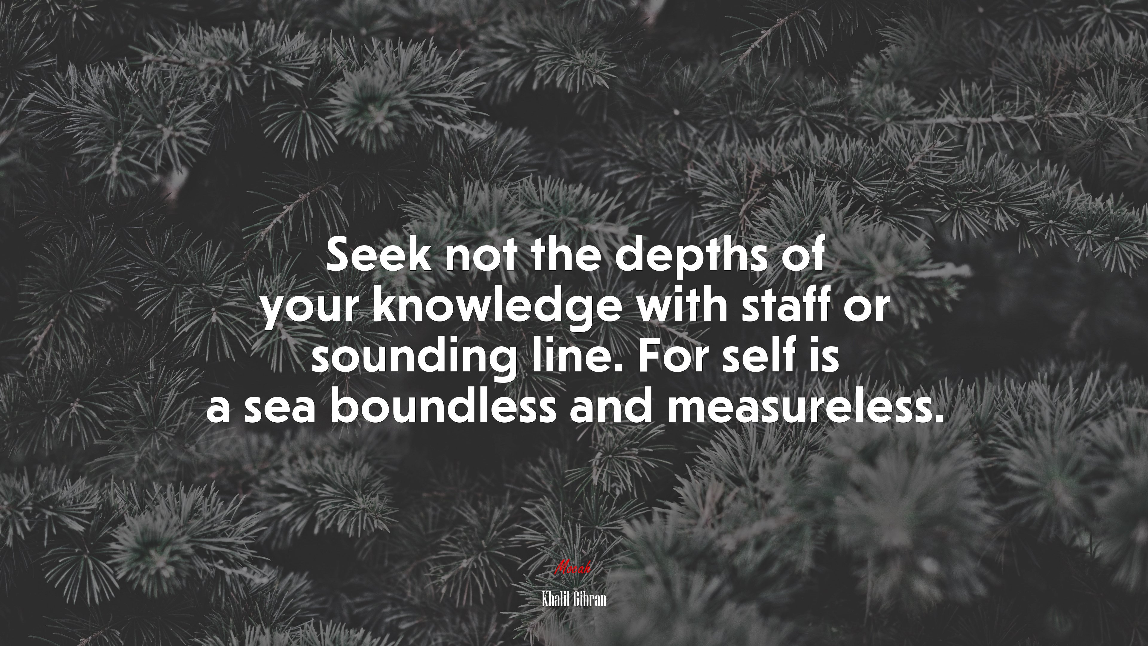 Seek not the depths of your knowledge with staff or sounding line. For self is a sea boundless and measureless. | Khalil Gibran quote HD Wallpaper