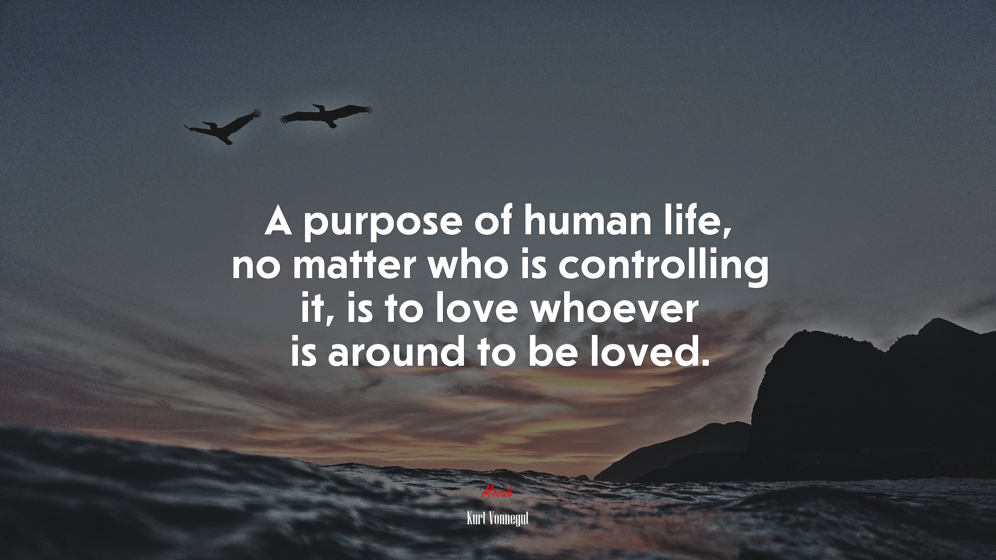 A purpose of human life, no matter who is controlling it, is to love whoever is around to be loved. | Kurt Vonnegut quote HD Wallpaper