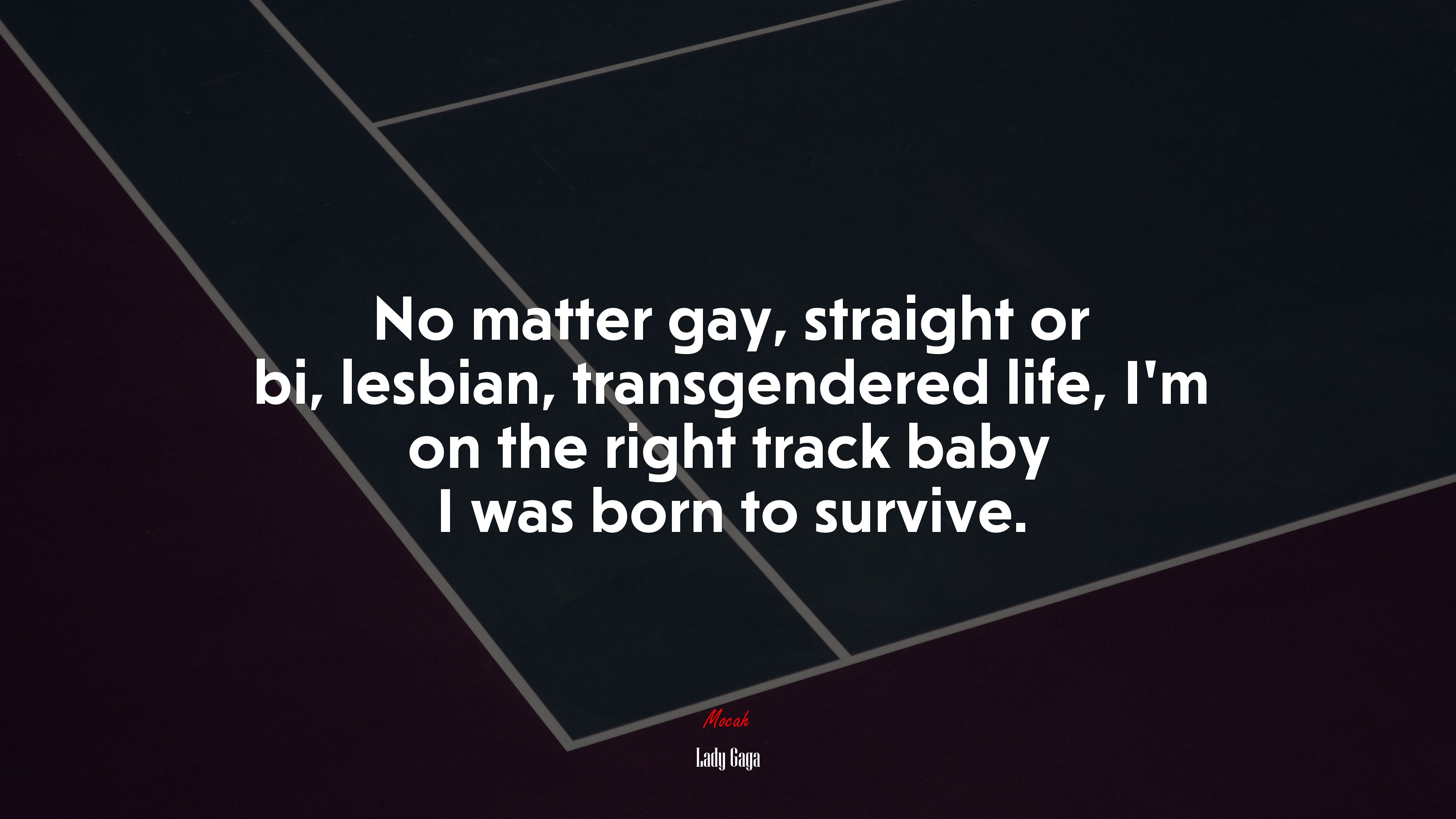 No matter gay, straight or bi, lesbian, transgendered life, I’m on the right track baby I was born to survive. | Lady Gaga quote HD Wallpaper