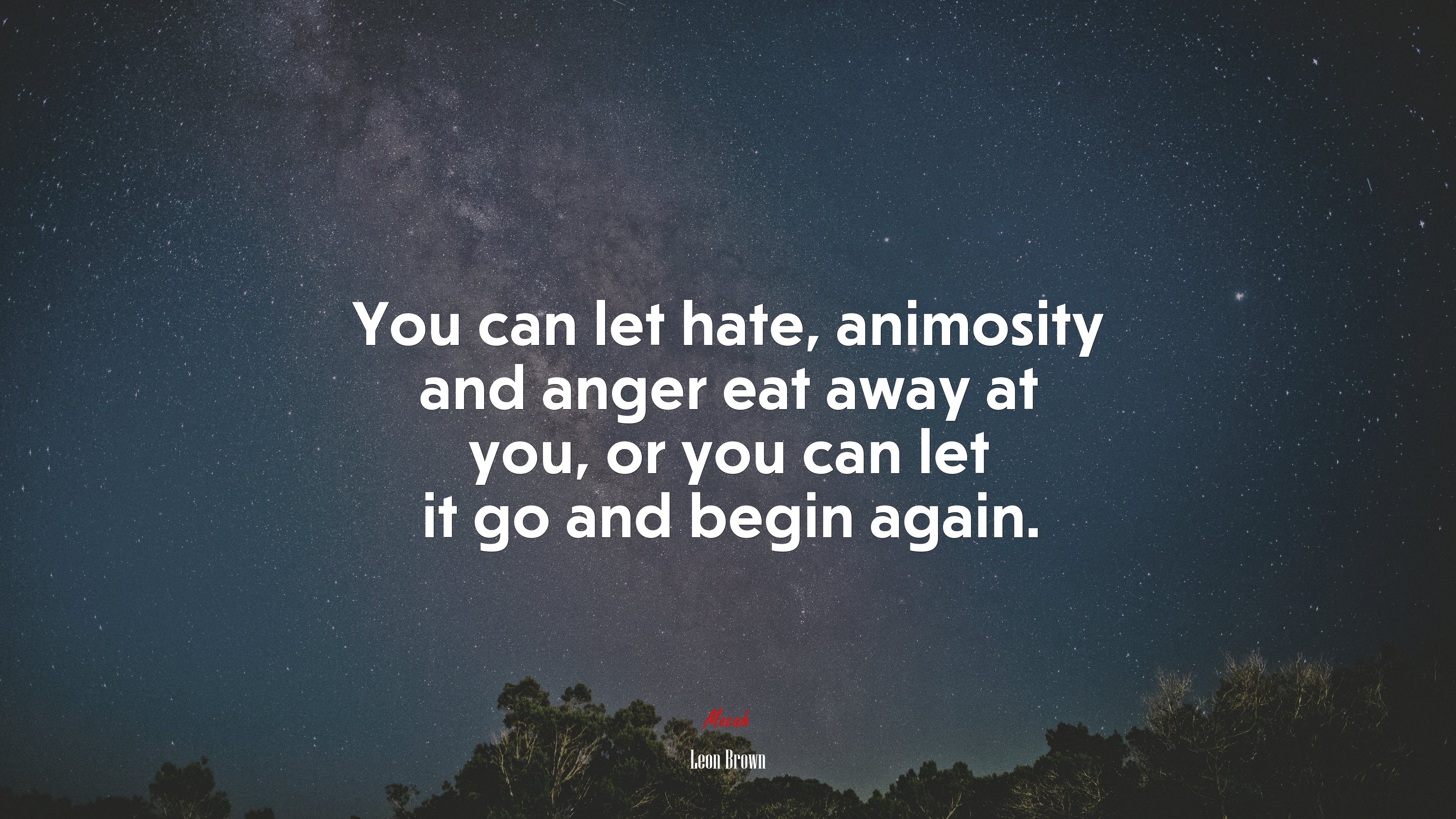 You can let hate, animosity and anger eat away at you, or you can let it go and begin again. | Leon Brown quote HD Wallpaper