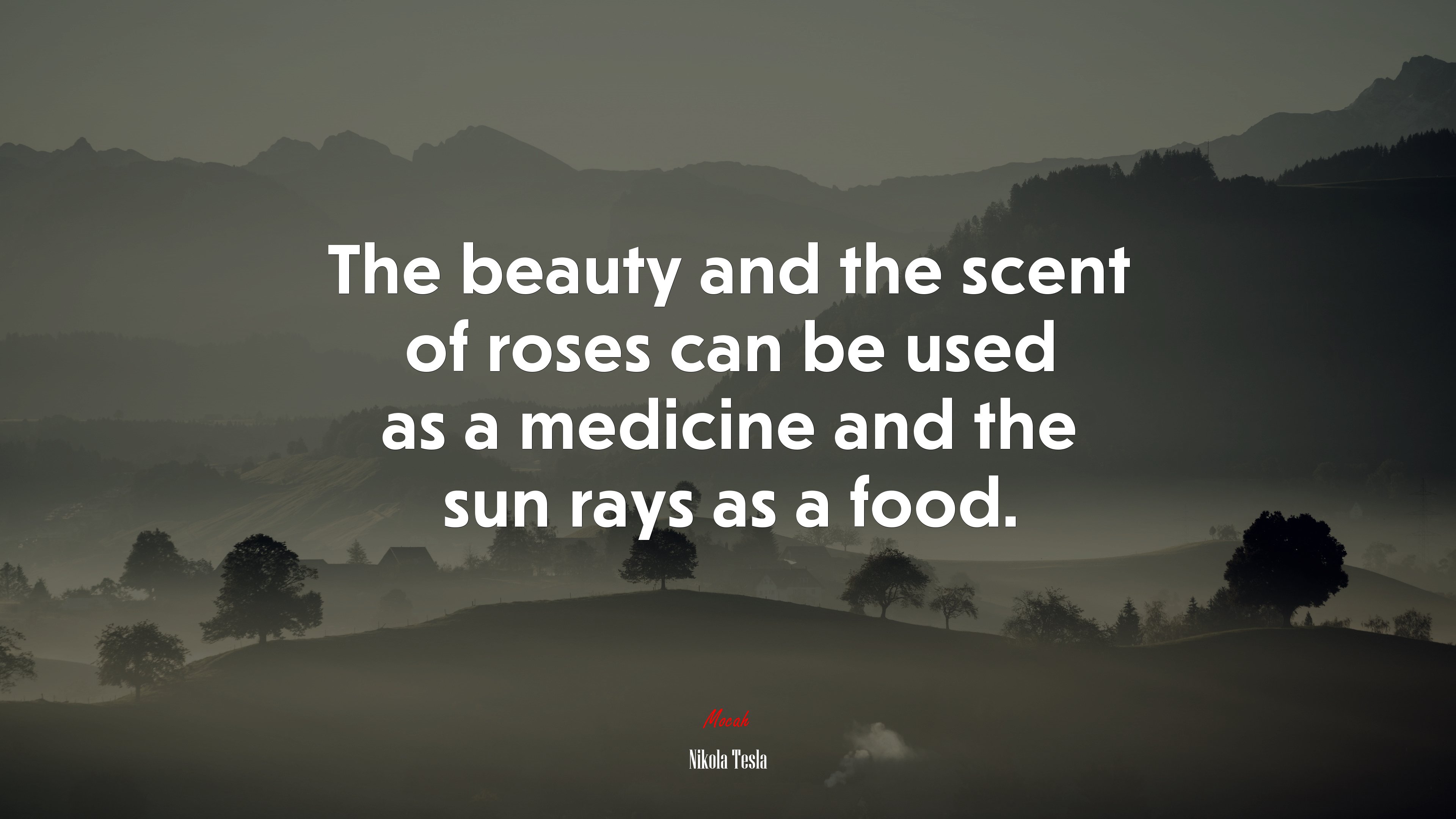 The beauty and the scent of roses can be used as a medicine and the sun rays as a food. | Nikola Tesla quote HD Wallpaper