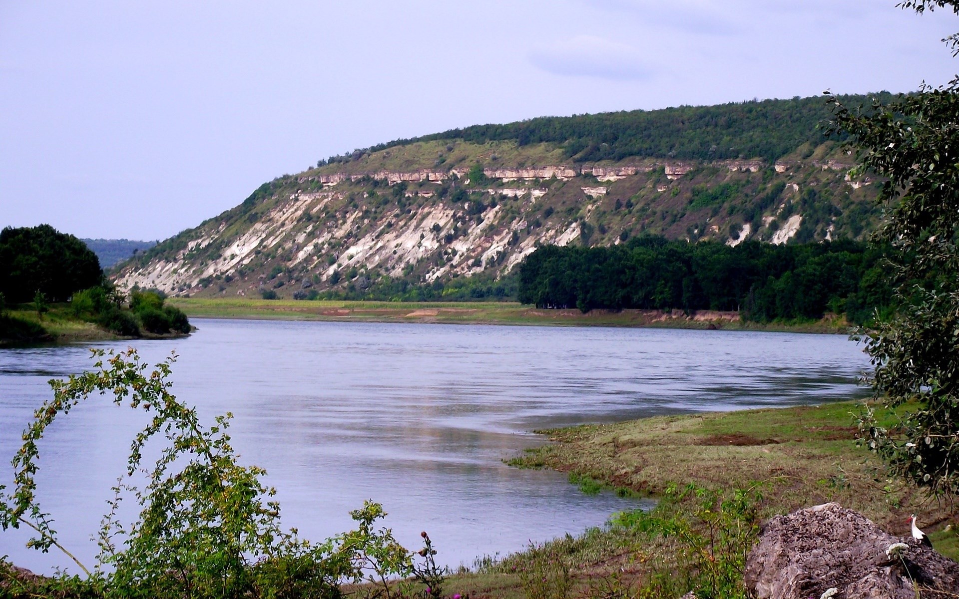 River flowing past a forested hill with a rocky cliff face HD Wallpaper