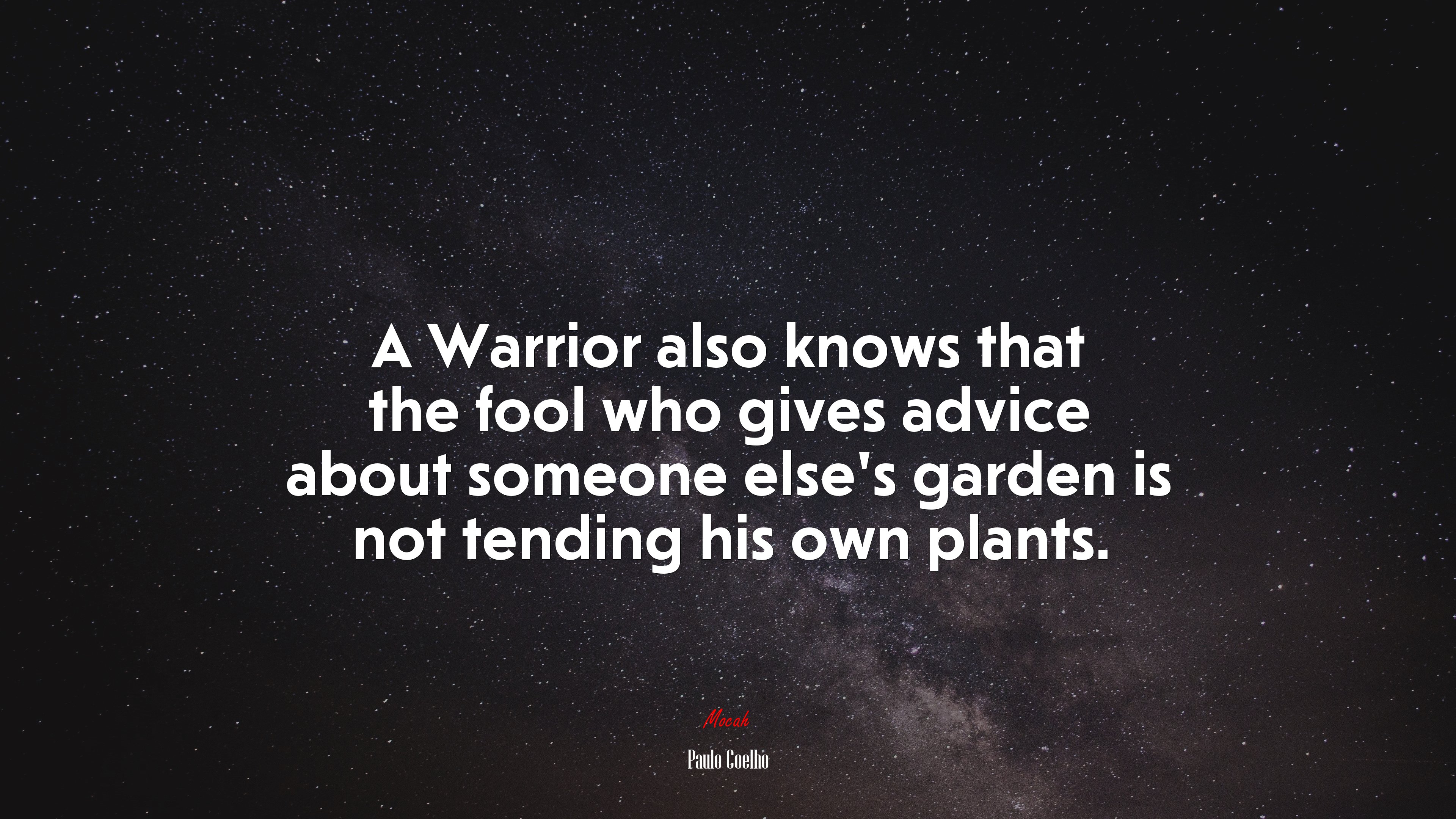 A Warrior also knows that the fool who gives advice about someone else’s garden is not tending his own plants. | Paulo Coelho quote HD Wallpaper