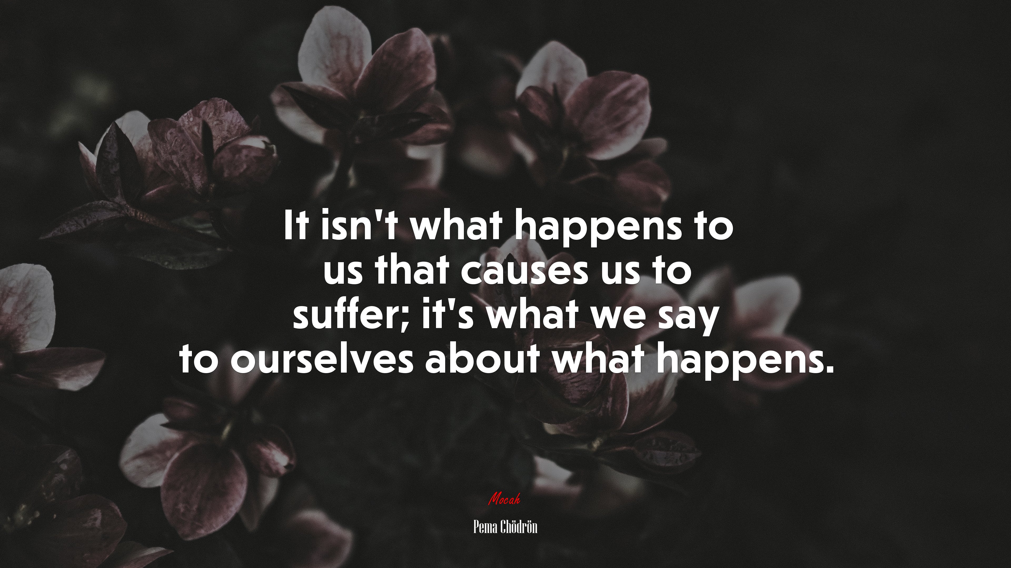 It isn’t what happens to us that causes us to suffer; it’s what we say to ourselves about what happens. | Pema Chödrön quote HD Wallpaper
