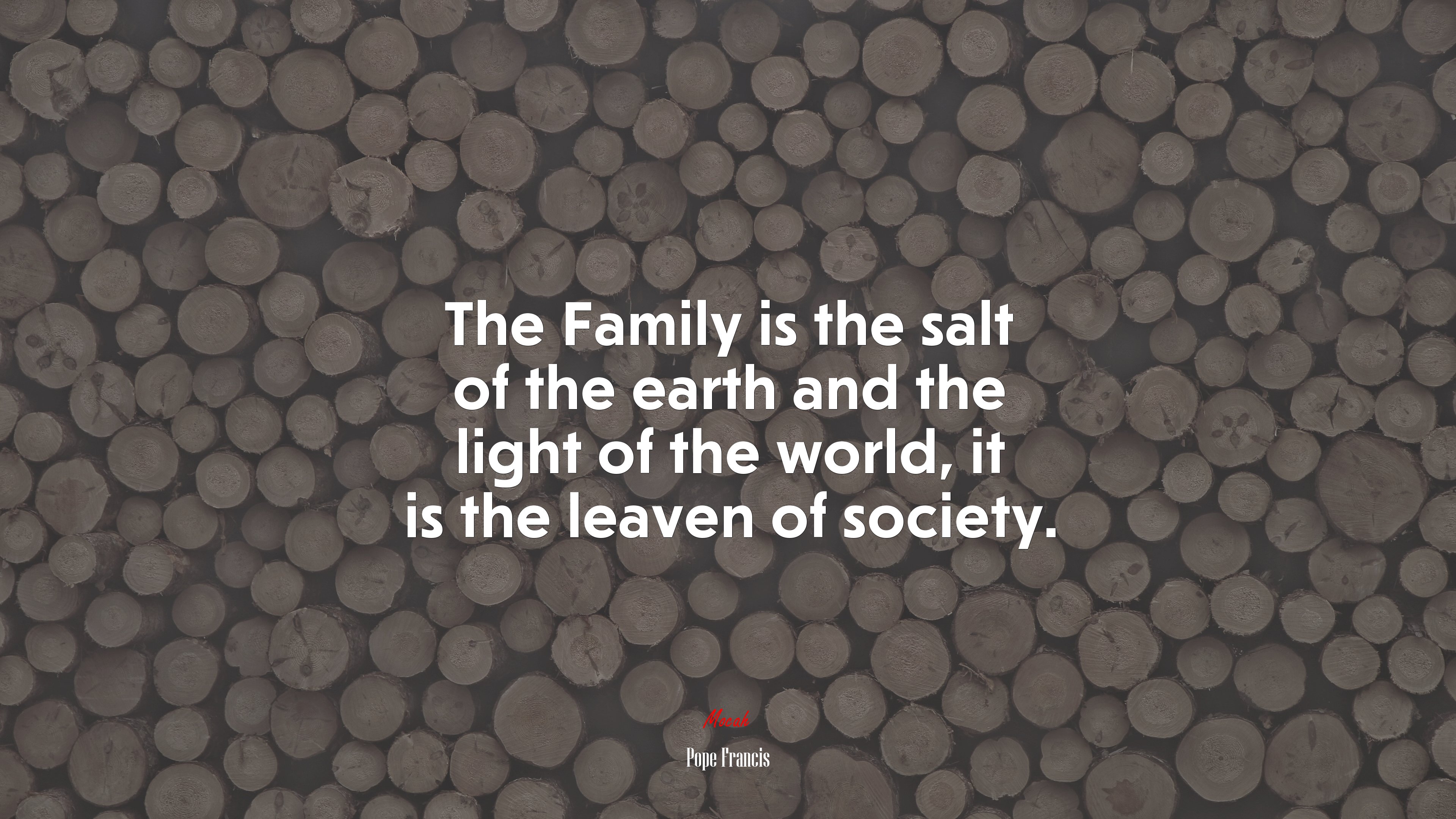 The Family is the salt of the earth and the light of the world, it is the leaven of society. | Pope Francis quote HD Wallpaper