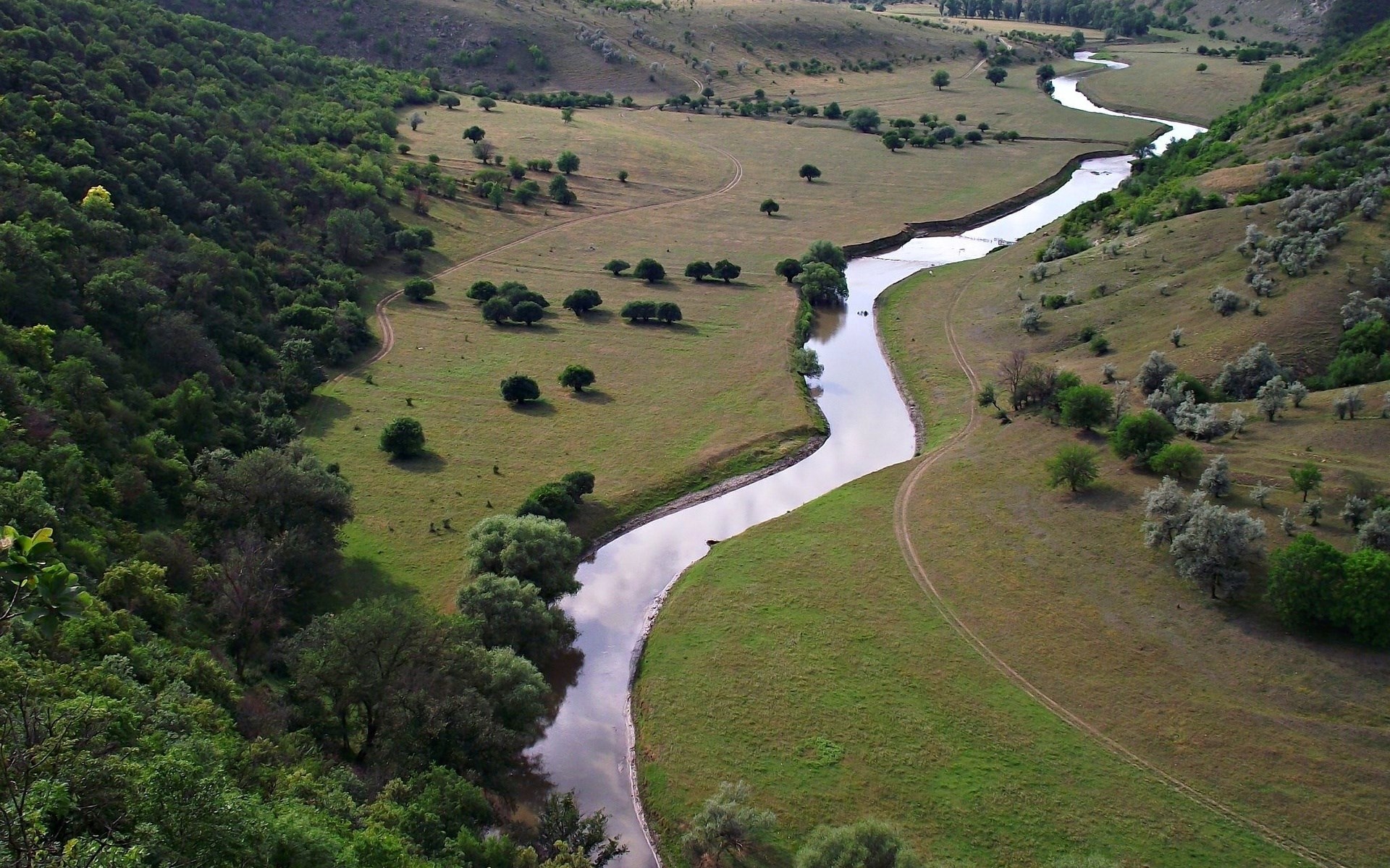 A winding river flows through a green valley with trees HD Wallpaper