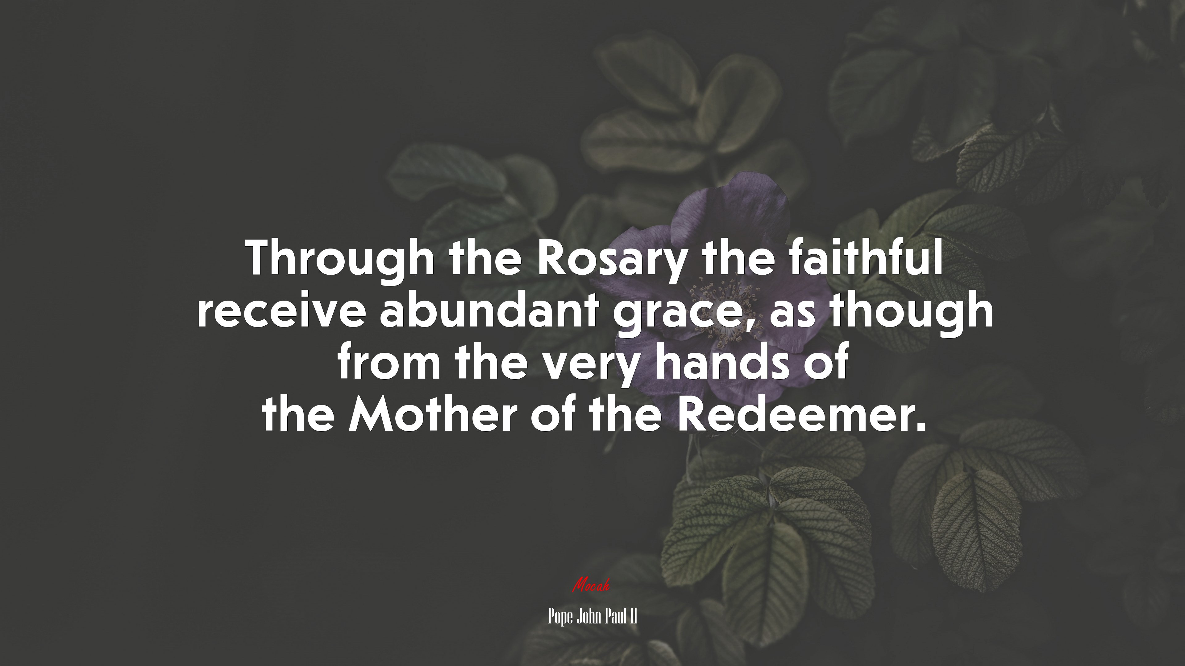 Through the Rosary the faithful receive abundant grace, as though from the very hands of the Mother of the Redeemer. | Pope John Paul II quote HD Wallpaper