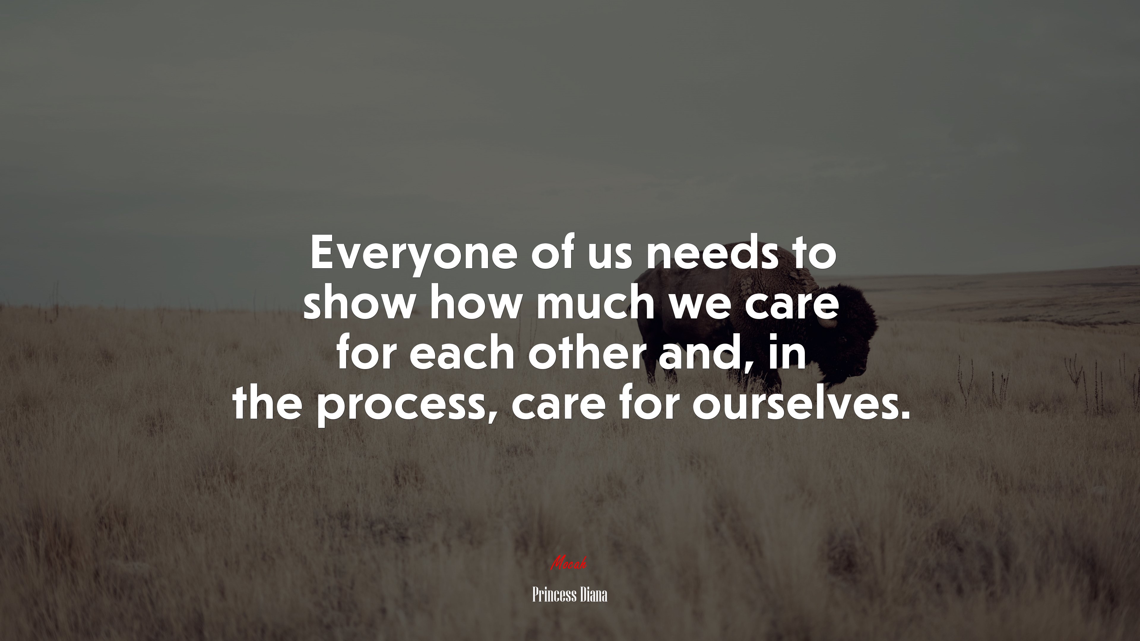 Everyone of us needs to show how much we care for each other and, in the process, care for ourselves. | Princess Diana quote HD Wallpaper