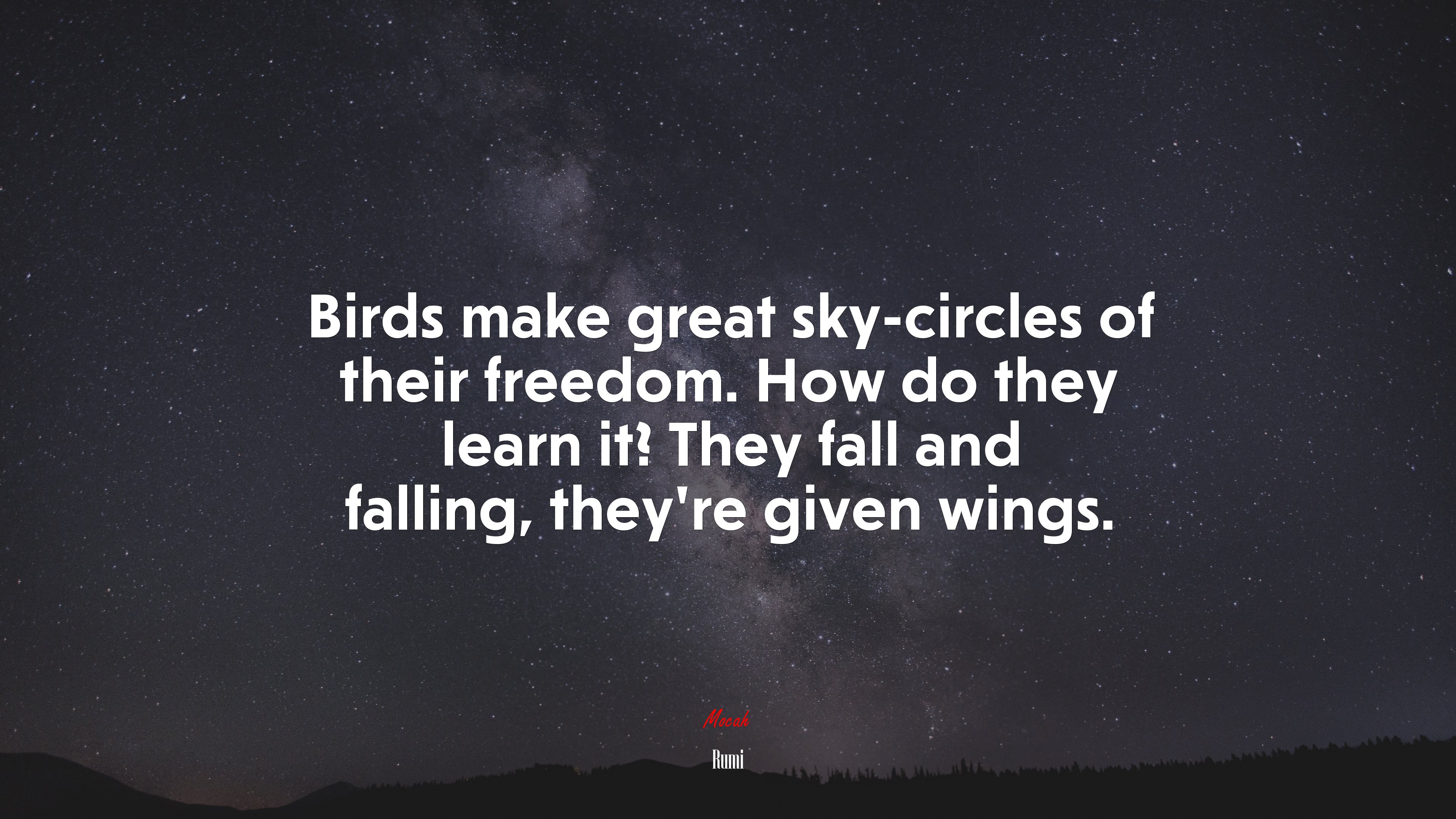 Birds make great sky-circles of their freedom. How do they learn it? They fall and falling, they’re given wings. | Rumi quote HD Wallpaper