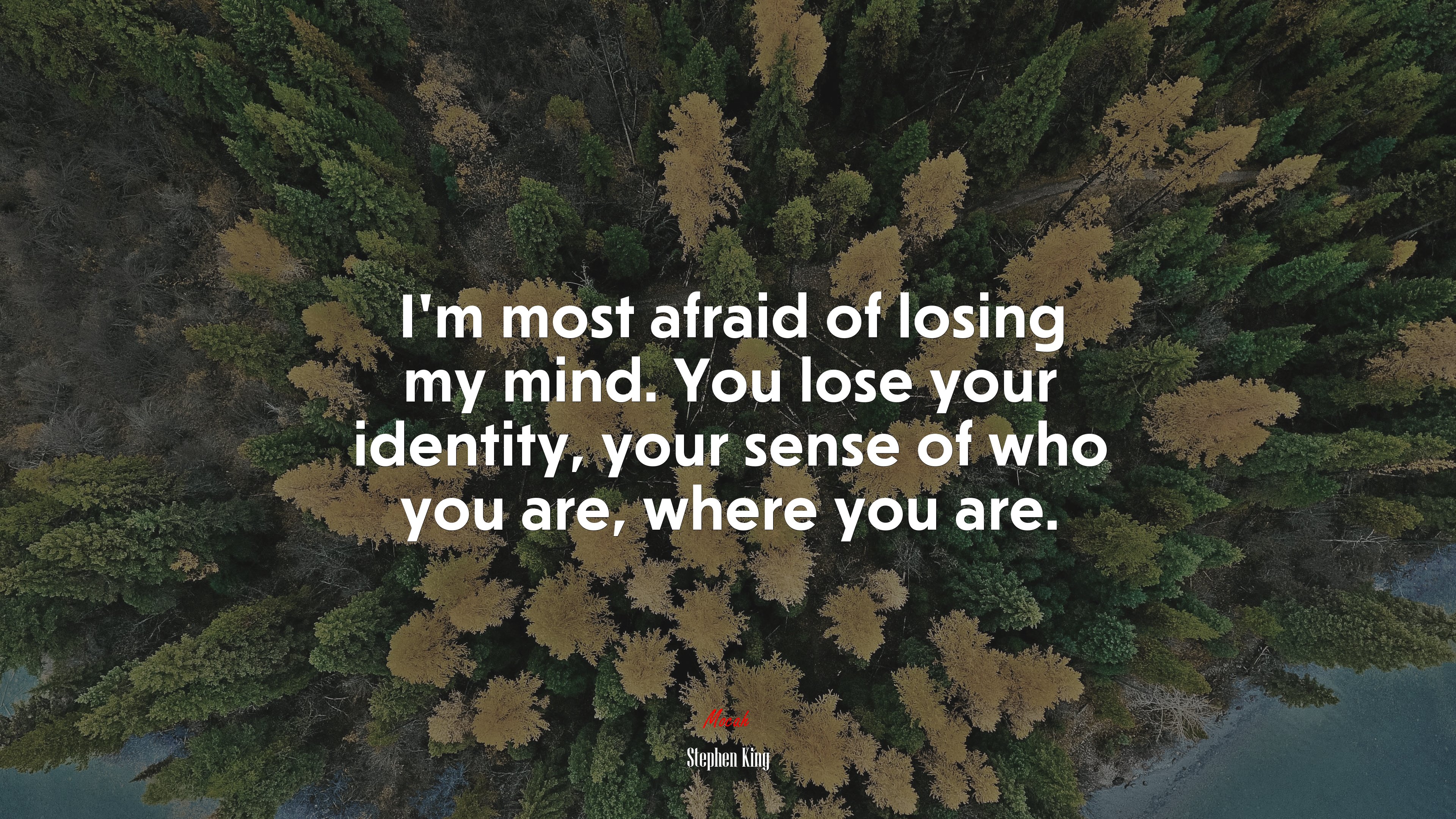 I’m most afraid of losing my mind. You lose your identity, your sense of who you are, where you are. | Stephen King quote HD Wallpaper