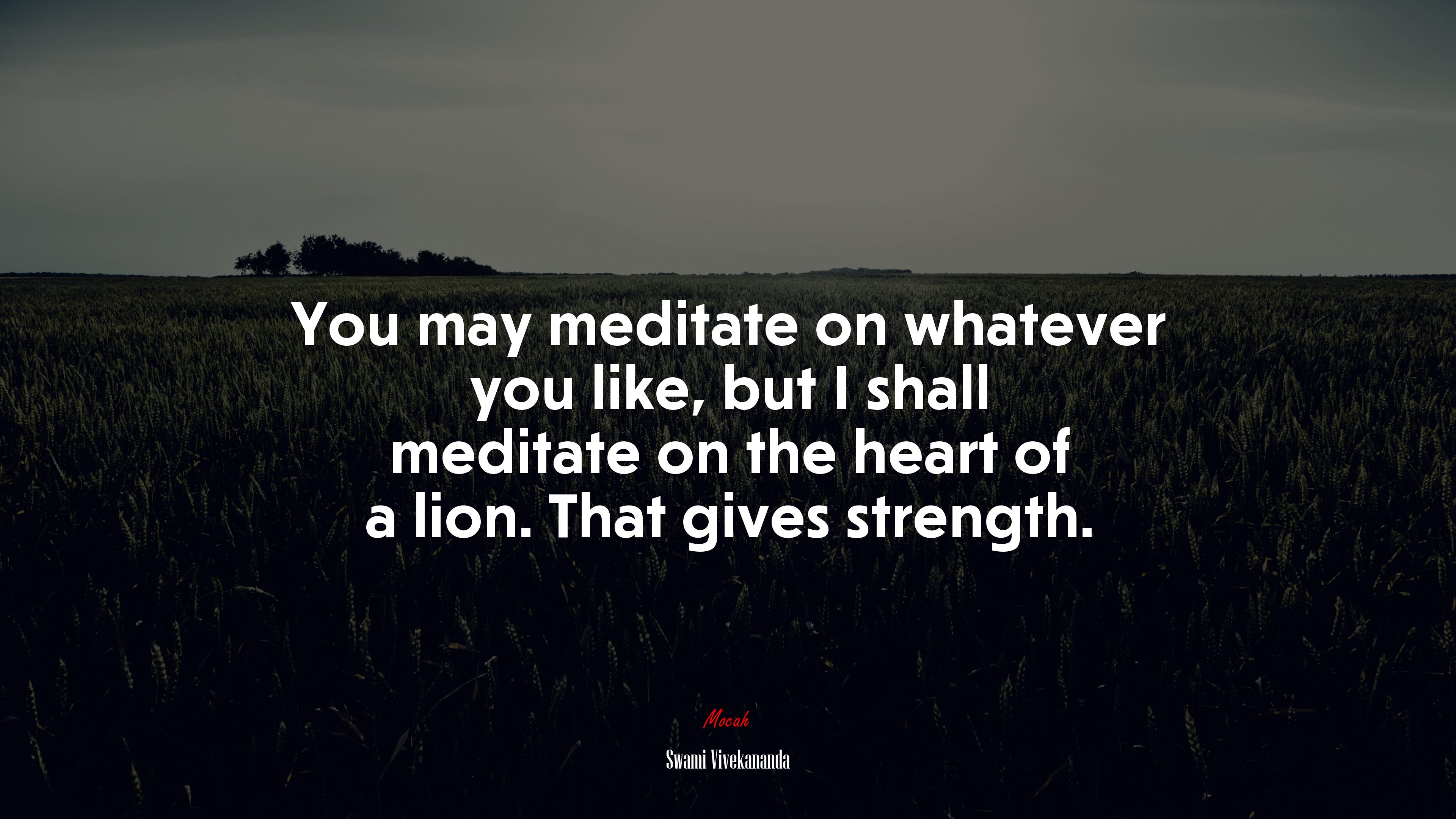 You may meditate on whatever you like, but I shall meditate on the heart of a lion. That gives strength. | Swami Vivekananda quote HD Wallpaper