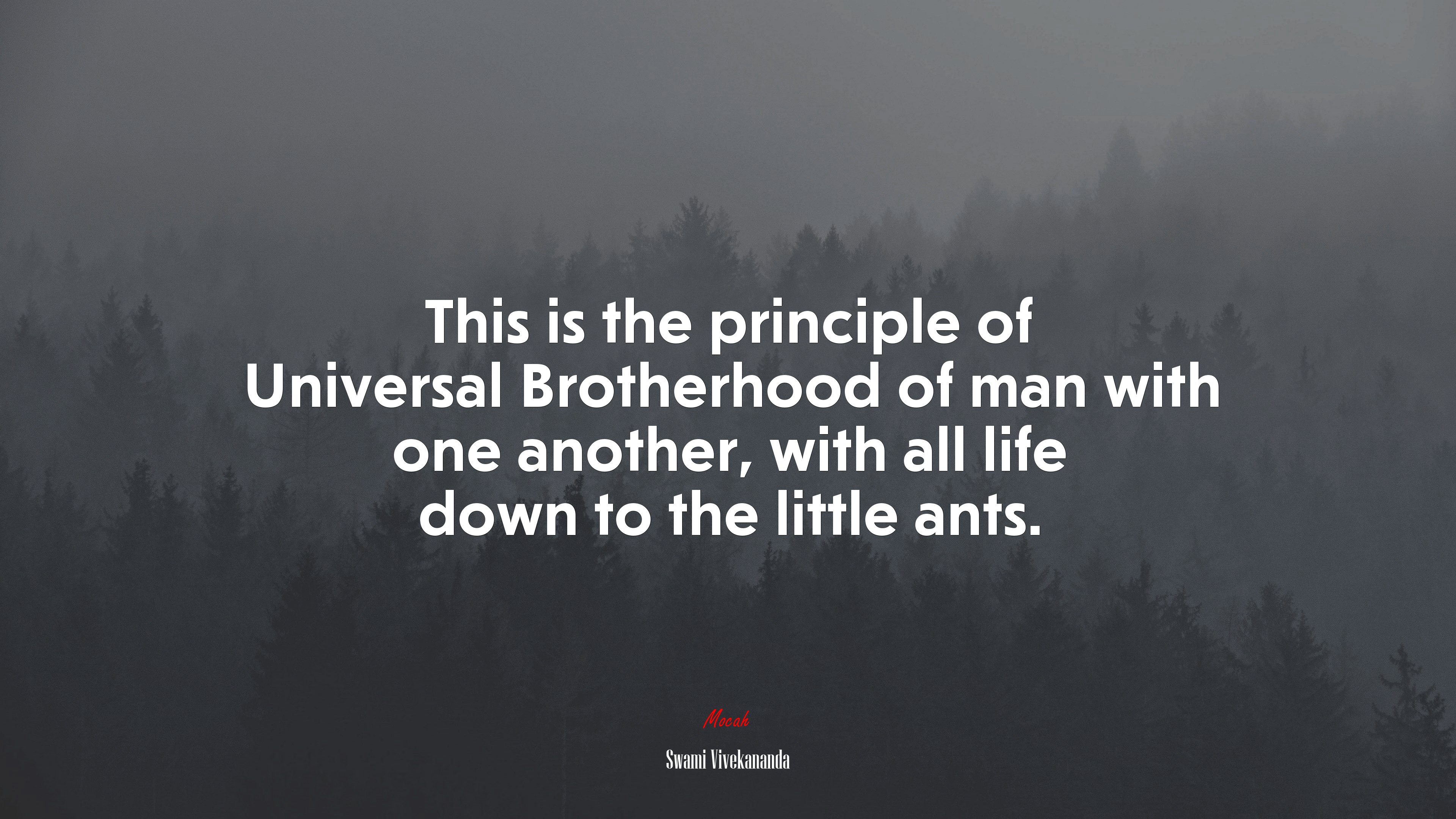 This is the principle of Universal Brotherhood of man with one another, with all life down to the little ants. | Swami Vivekananda quote HD Wallpaper