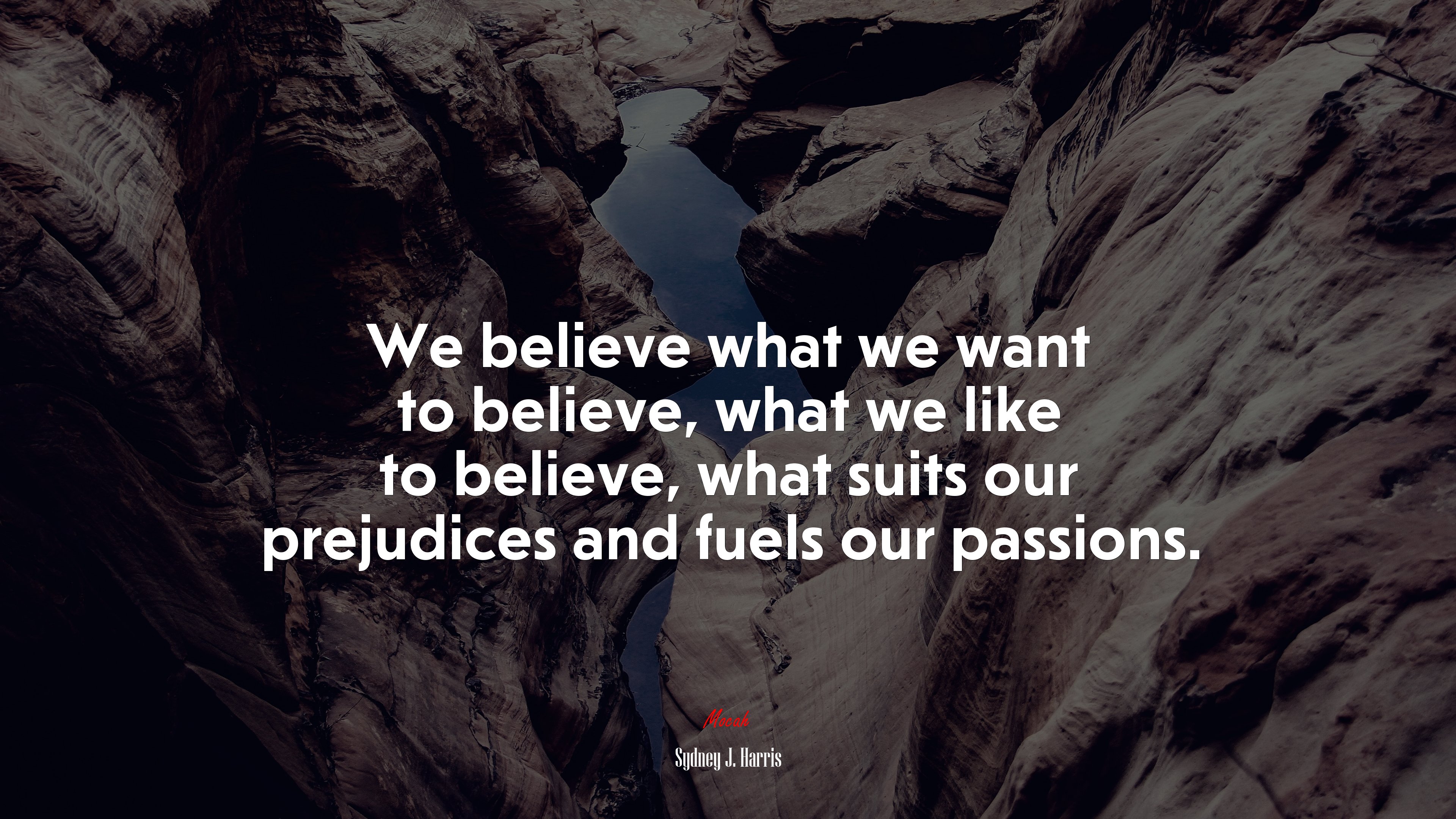 We believe what we want to believe, what we like to believe, what suits our prejudices and fuels our passions. | Sydney J. Harris quote HD Wallpaper