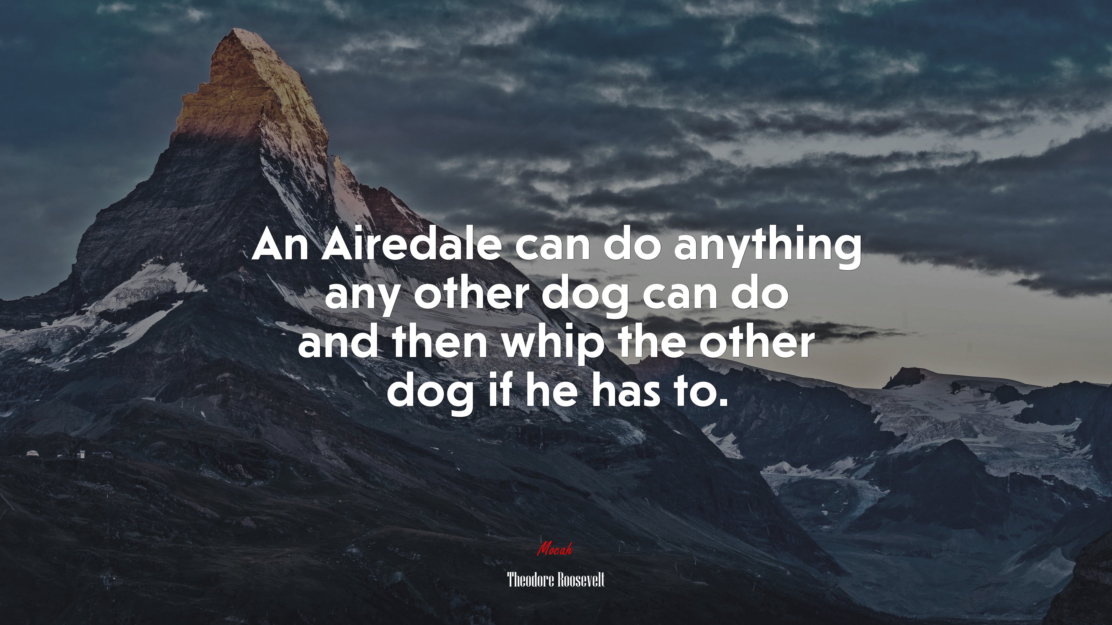 An Airedale can do anything any other dog can do and then whip the other dog if he has to. | Theodore Roosevelt quote HD Wallpaper