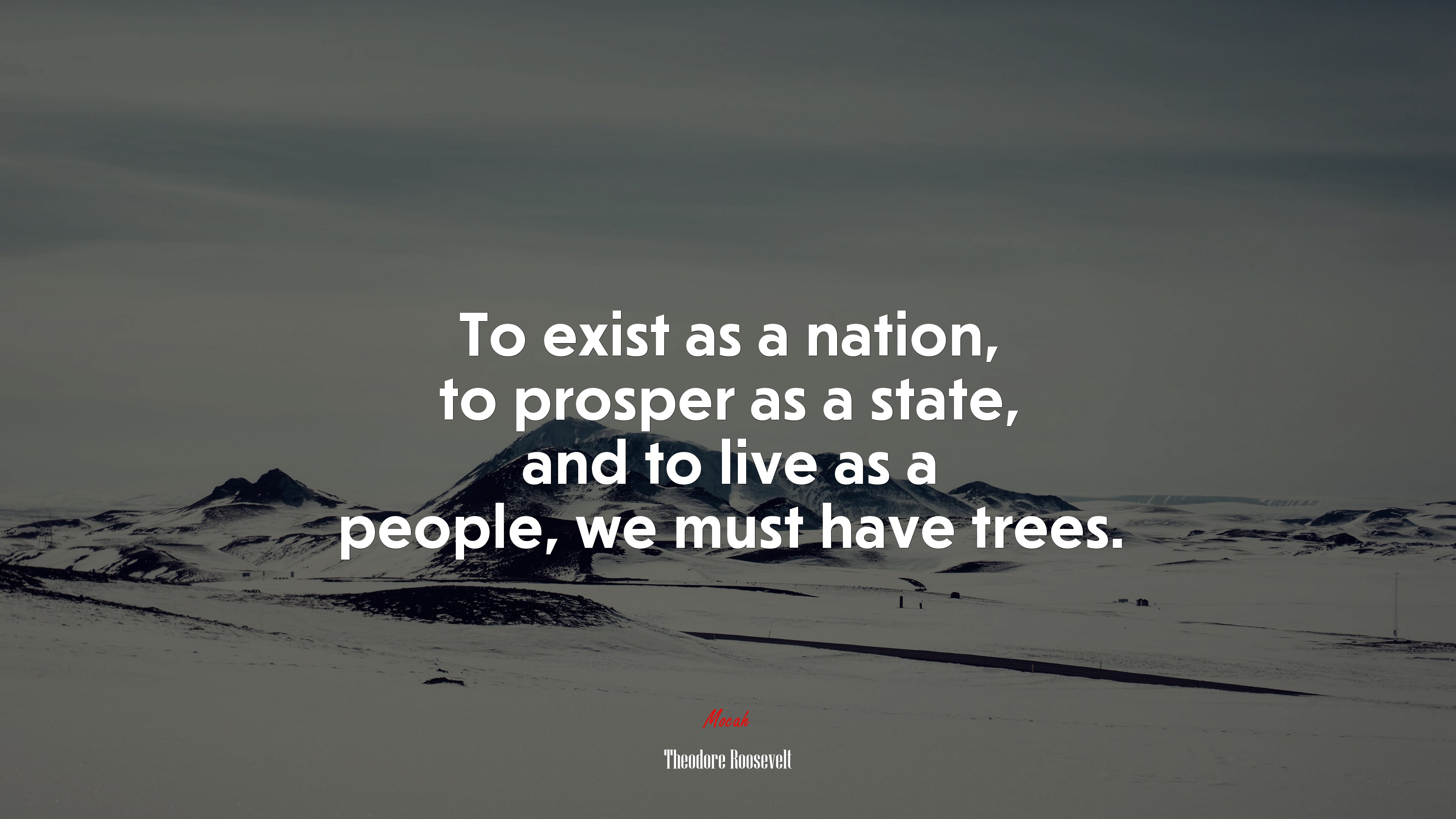 To exist as a nation, to prosper as a state, and to live as a people, we must have trees. | Theodore Roosevelt quote HD Wallpaper