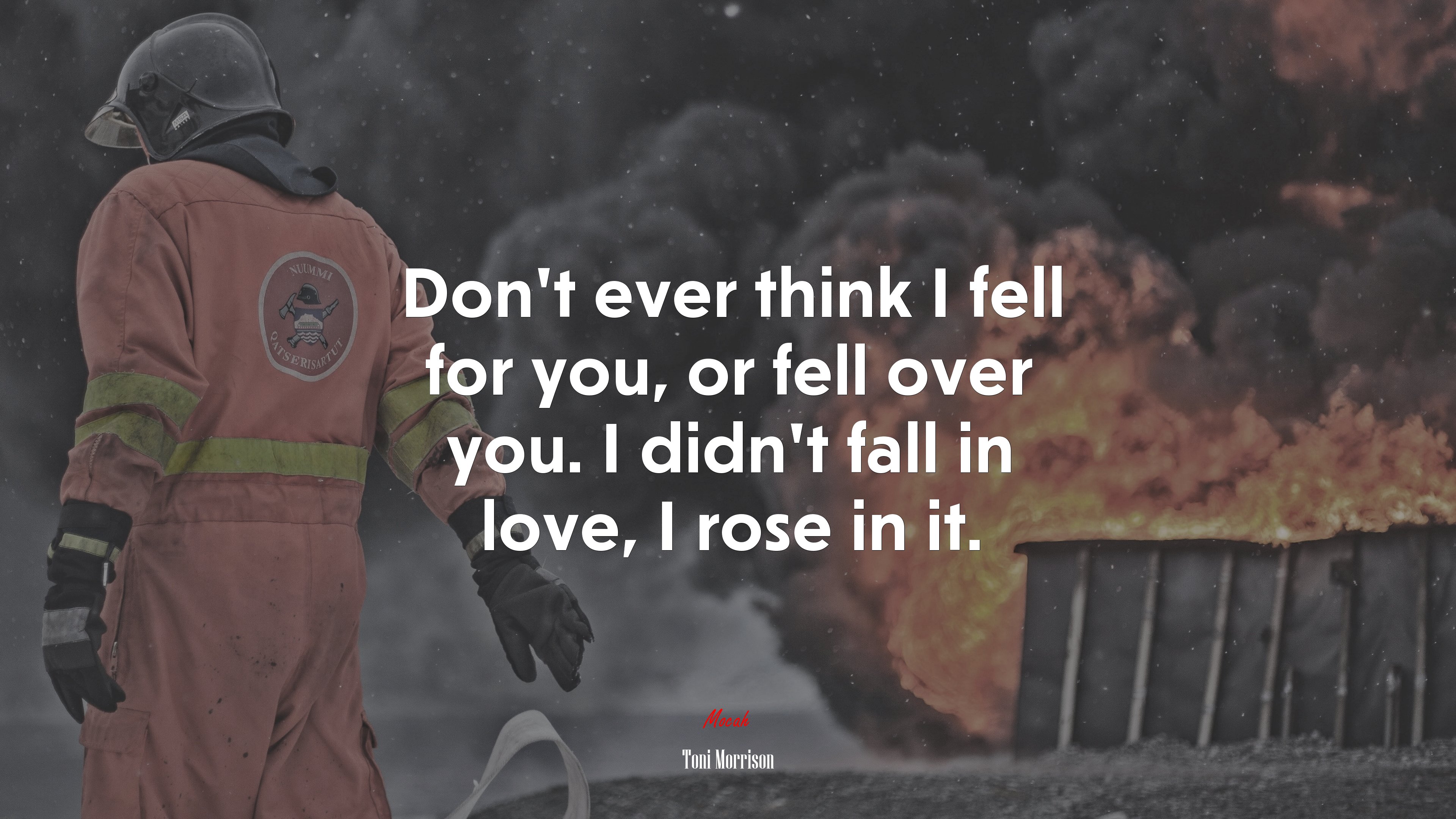 Don’t ever think I fell for you, or fell over you. I didn’t fall in love, I rose in it. | Toni Morrison quote HD Wallpaper