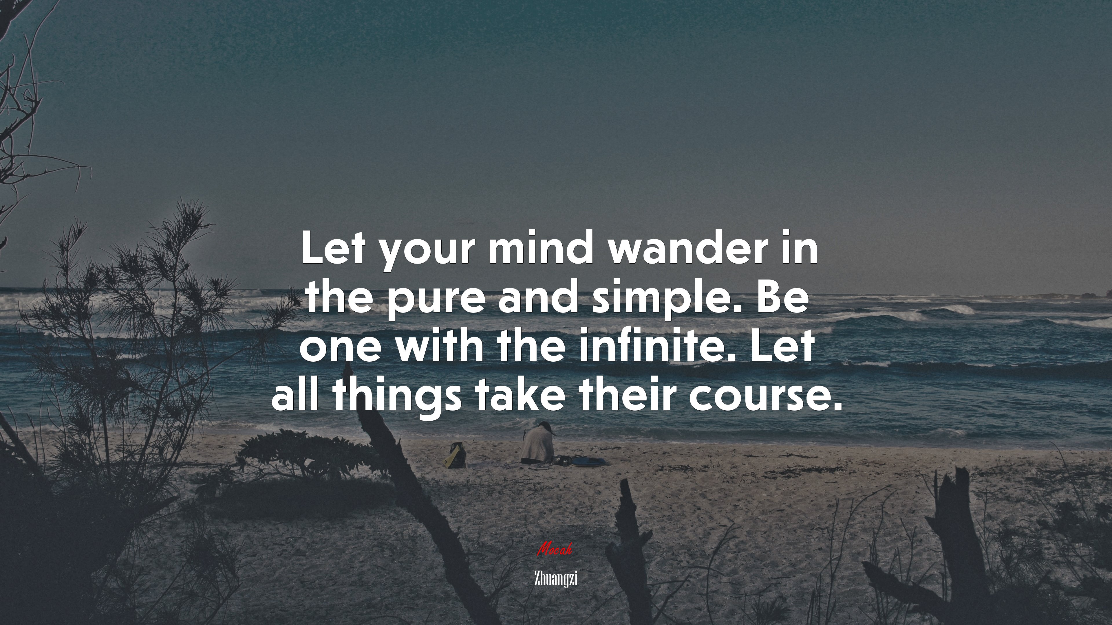Let your mind wander in the pure and simple. Be one with the infinite. Let all things take their course. | Zhuangzi quote HD Wallpaper