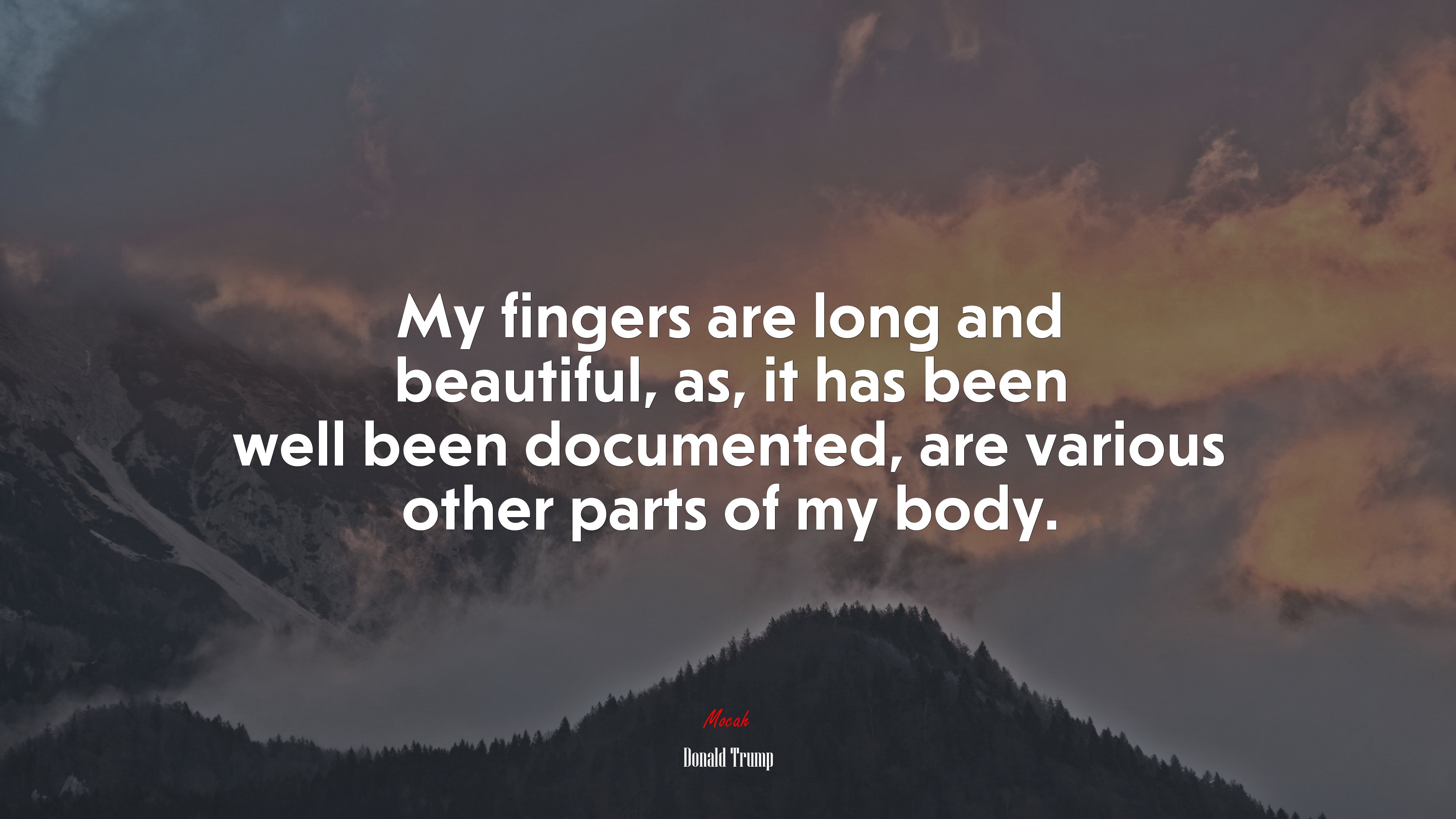 My fingers are long and beautiful, as, it has been well been documented, are various other parts of my body. | Donald Trump quote HD Wallpaper