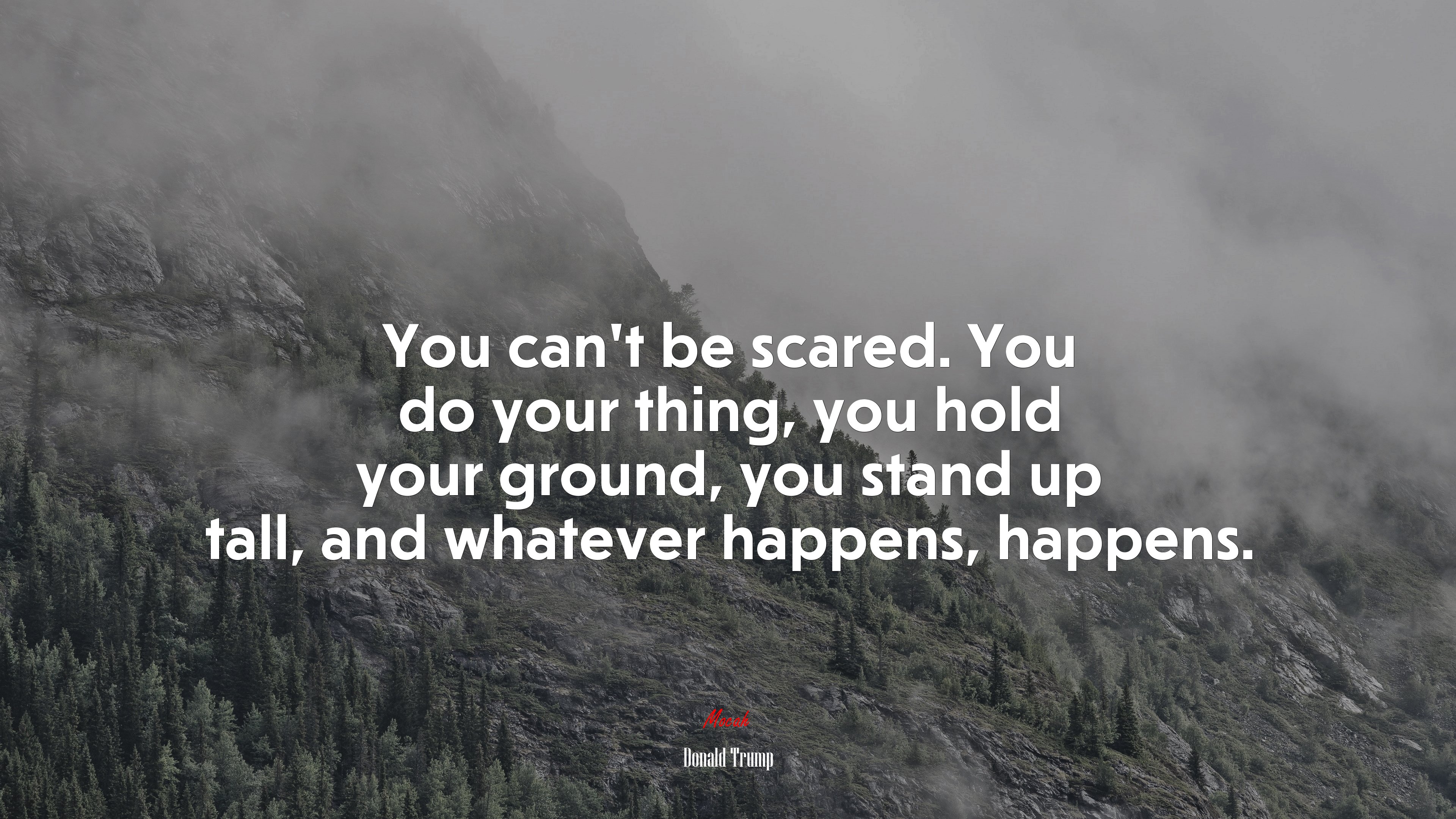 You can’t be scared. You do your thing, you hold your ground, you stand up tall, and whatever happens, happens. | Donald Trump quote HD Wallpaper