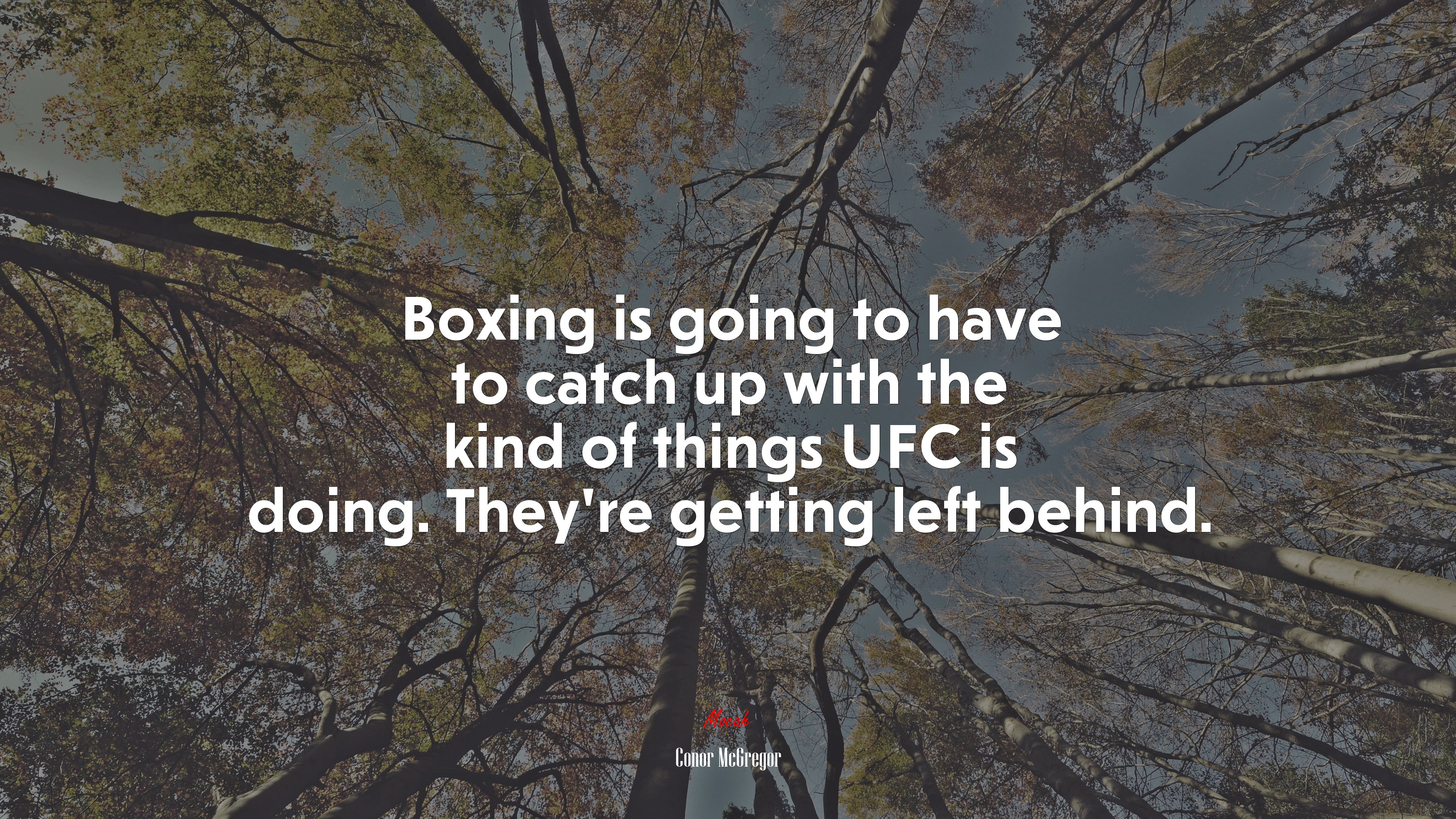 Boxing is going to have to catch up with the kind of things UFC is doing. They’re getting left behind. | Conor McGregor quote HD Wallpaper