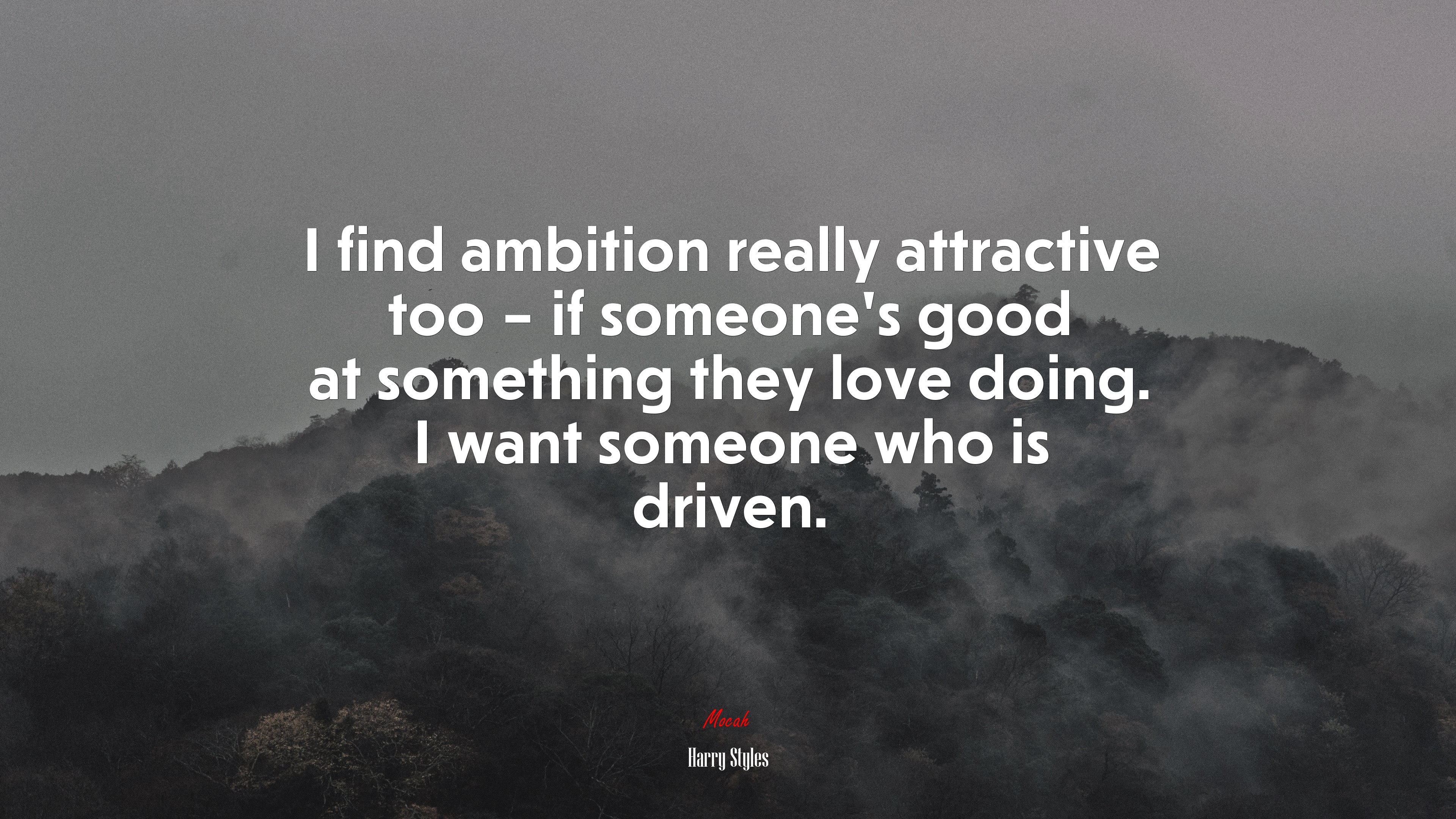 I find ambition really attractive too – if someone’s good at something they love doing. I want someone who is driven. | Harry Styles quote HD Wallpaper