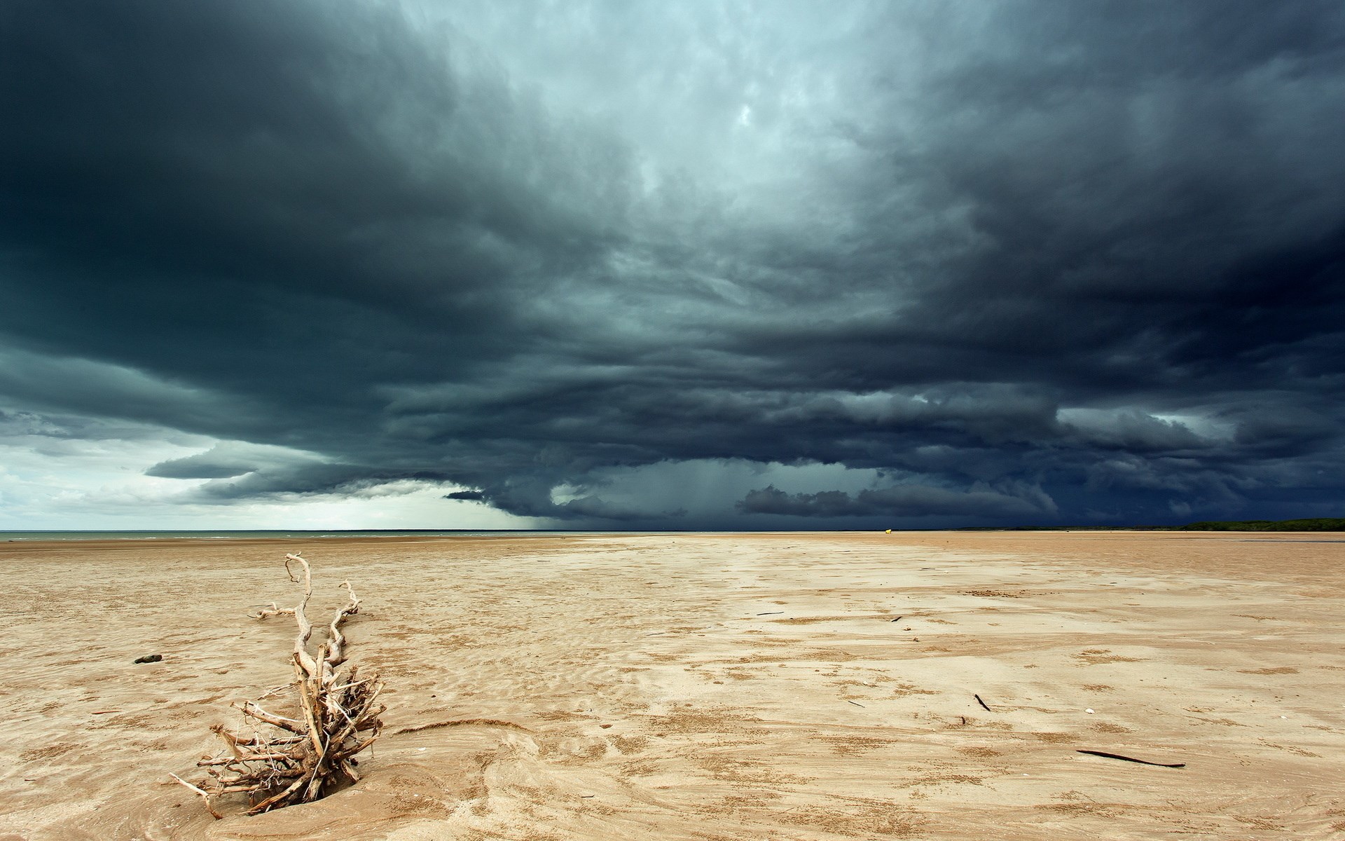 Stormy clouds over a sandy beach with driftwood HD Wallpaper