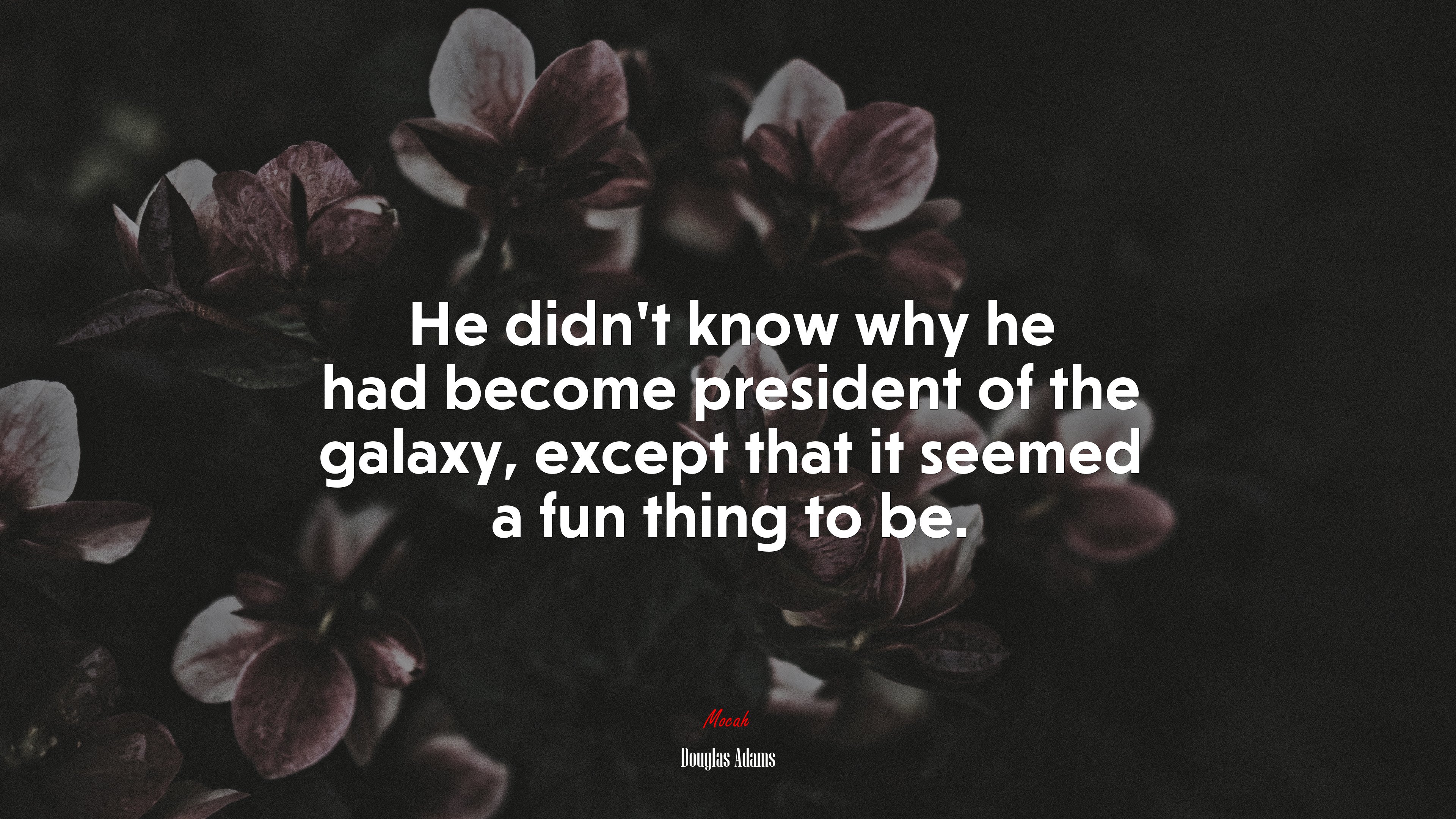 He didn’t know why he had become president of the galaxy, except that it seemed a fun thing to be. | Douglas Adams quote HD Wallpaper
