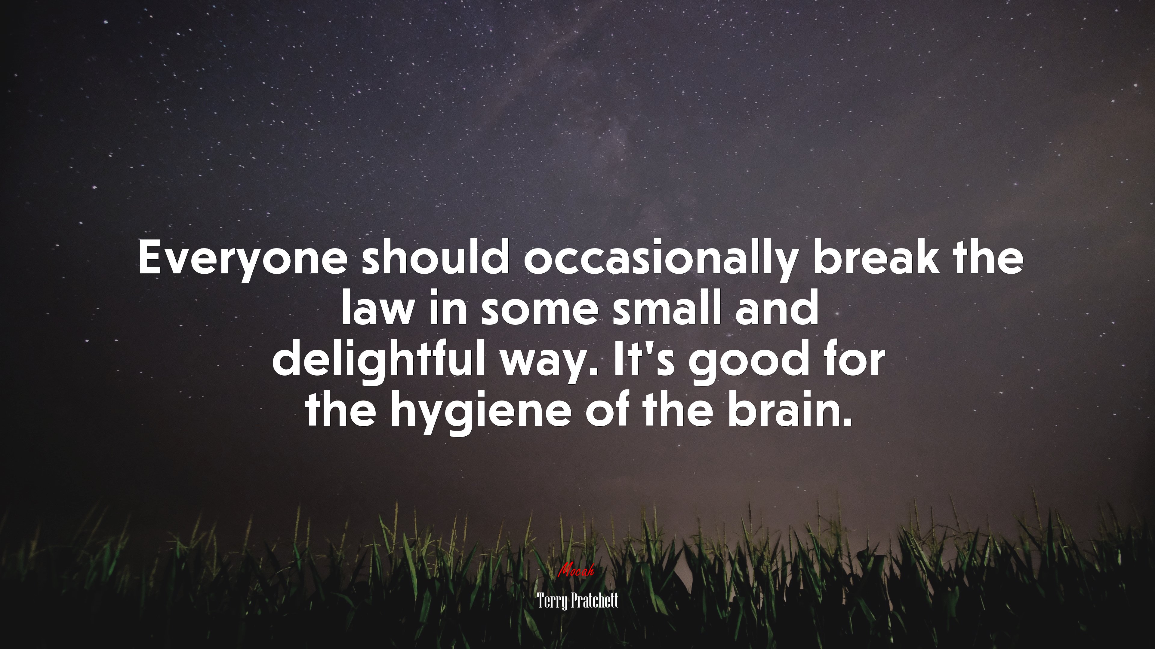 Everyone should occasionally break the law in some small and delightful way. It’s good for the hygiene of the brain. | Terry Pratchett quote HD Wallpaper