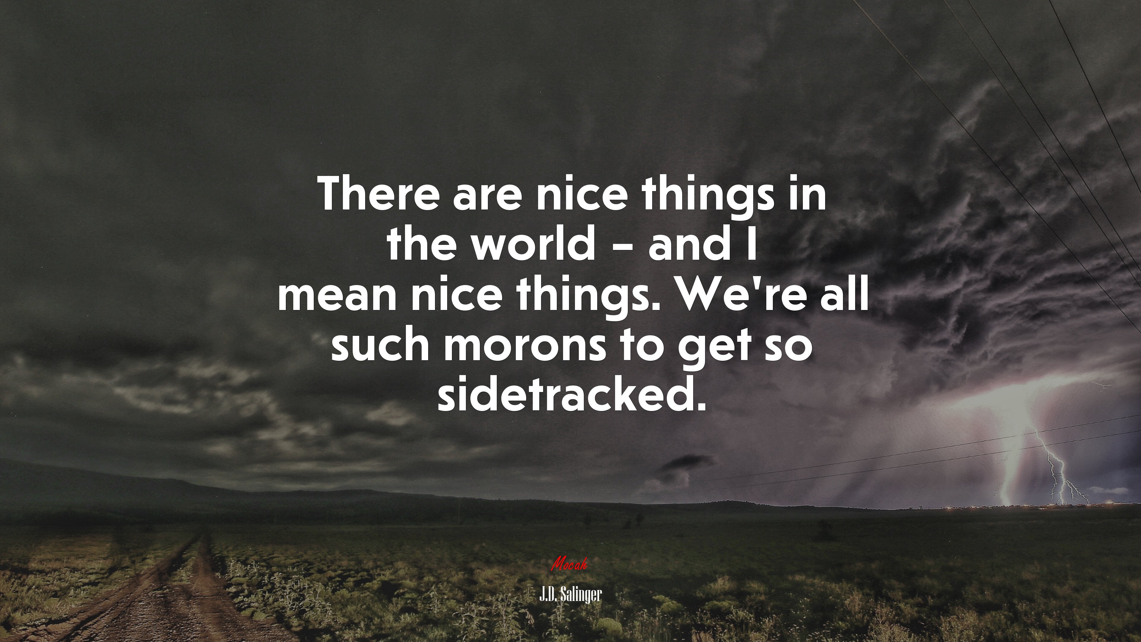 There are nice things in the world – and I mean nice things. We’re all such morons to get so sidetracked. | J.D. Salinger quote HD Wallpaper