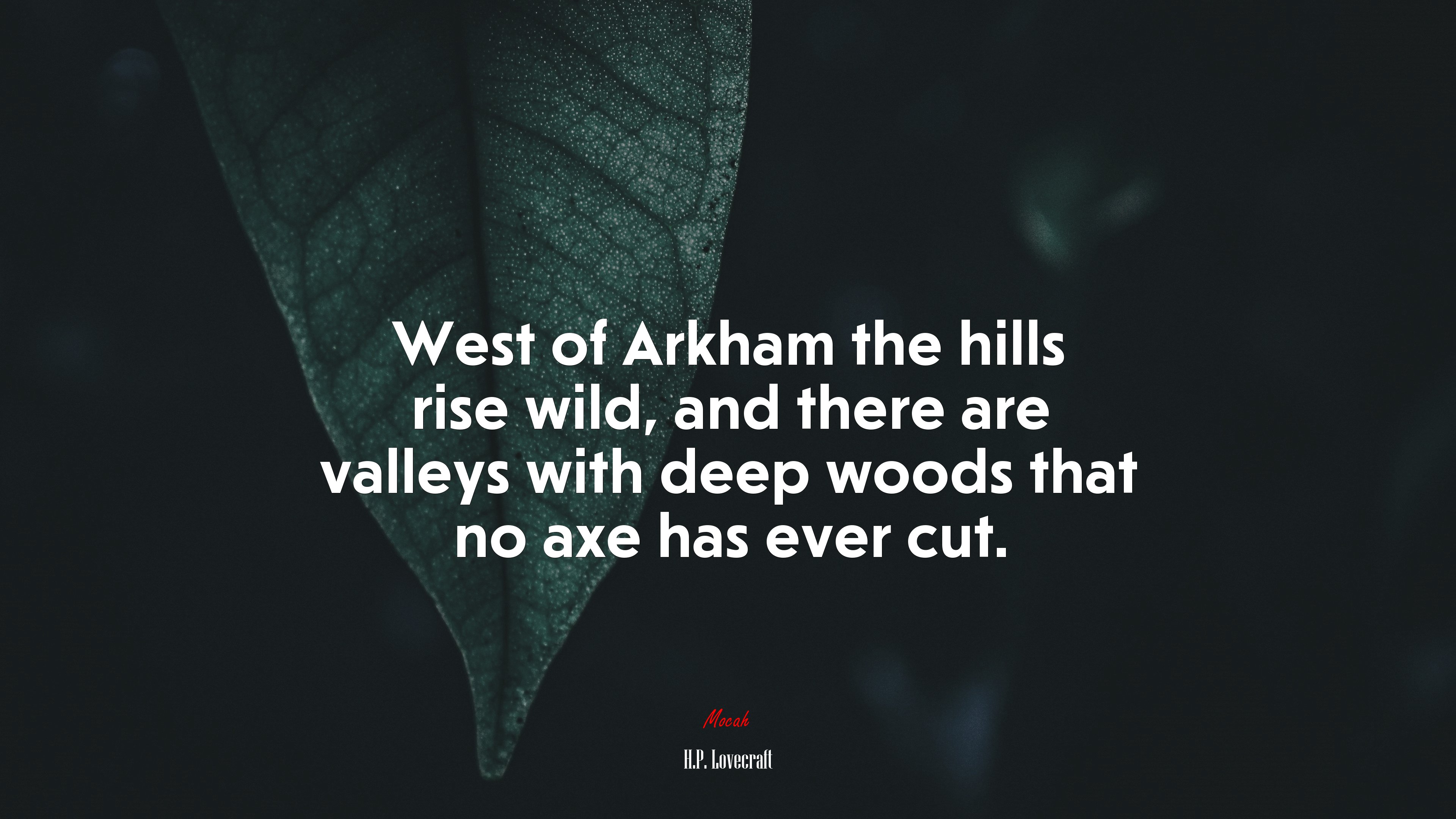 West of Arkham the hills rise wild, and there are valleys with deep woods that no axe has ever cut. | H.P. Lovecraft quote HD Wallpaper